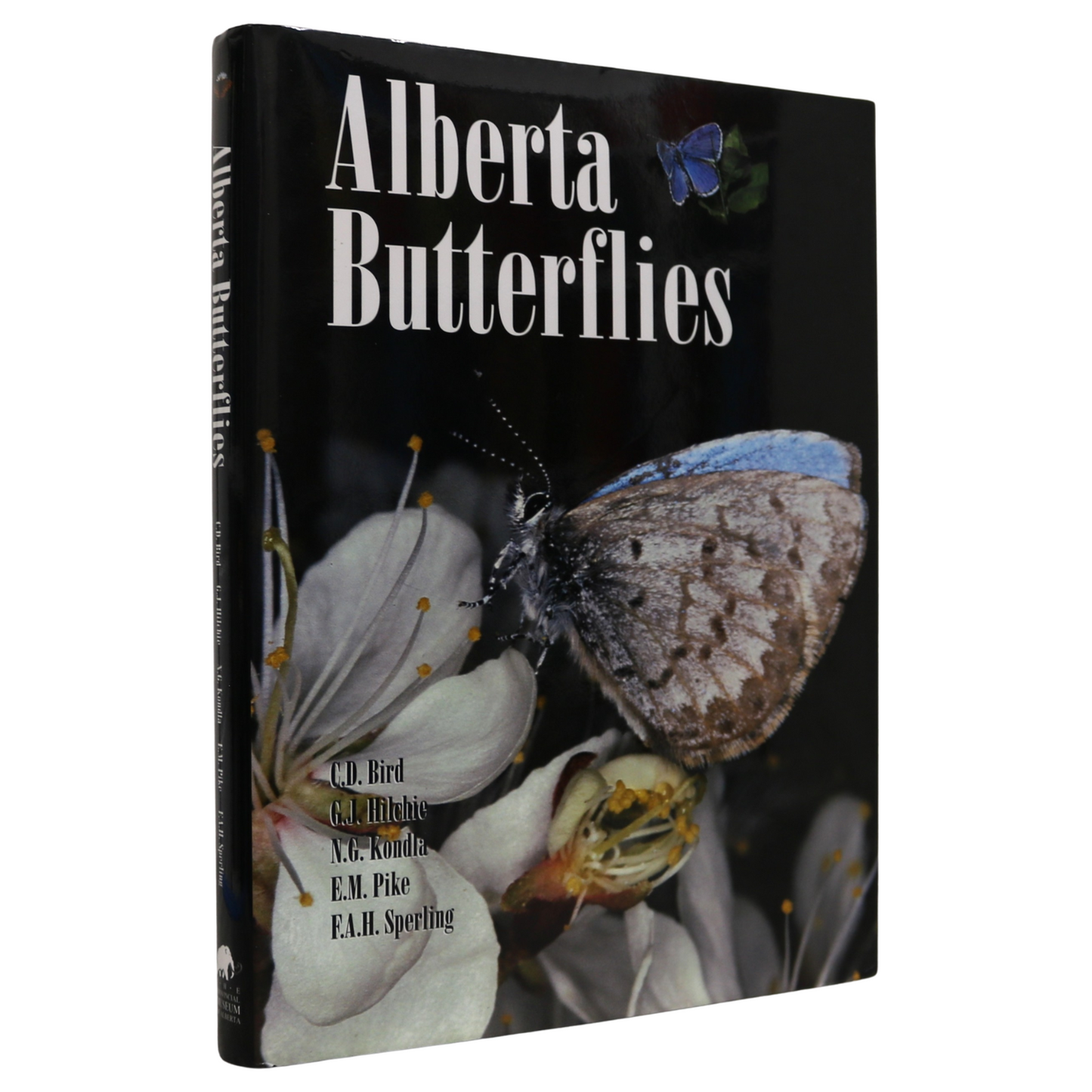 Alberta Butterflies Canada Canadian Natural History Butterfly Canadian Used Book