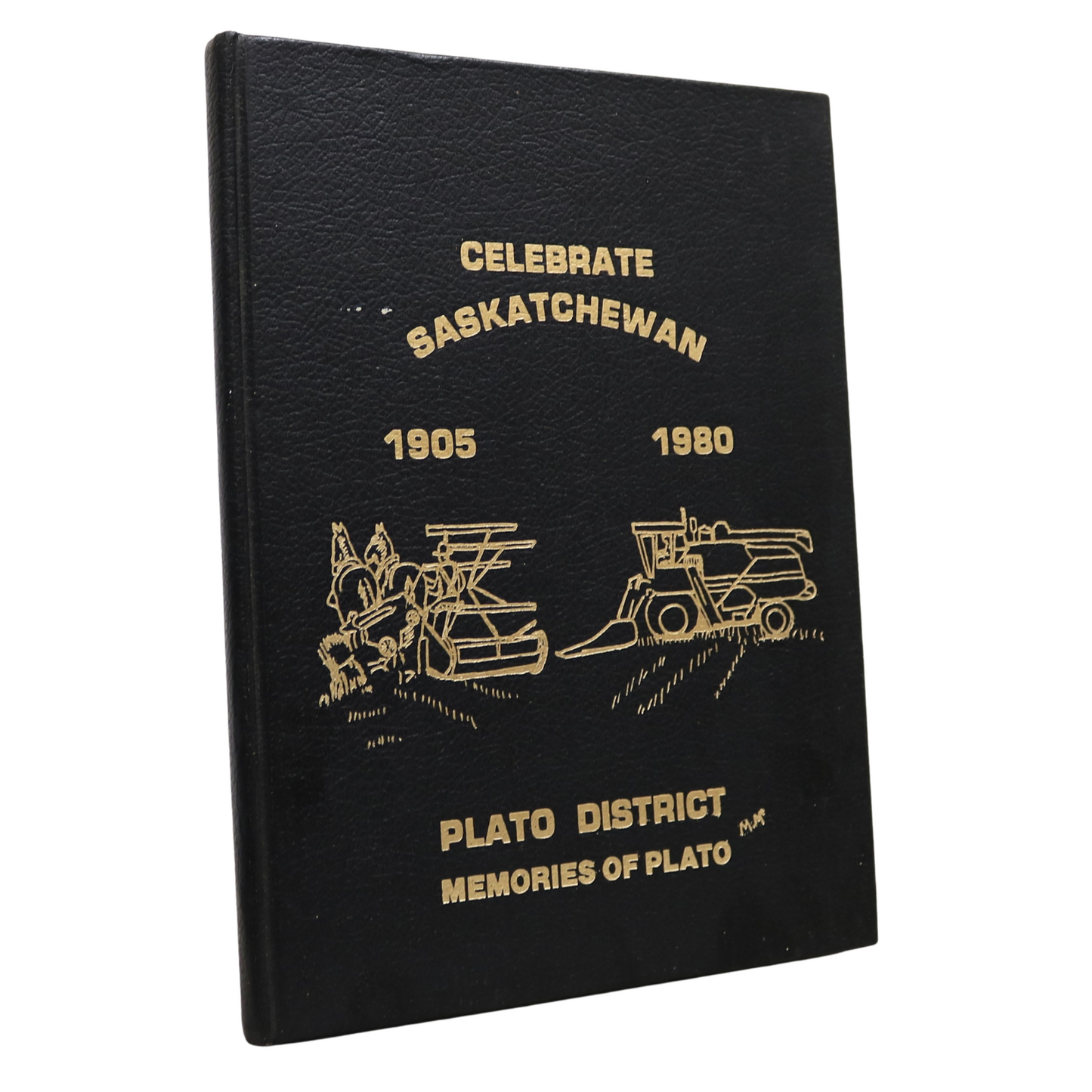 Memories of Plato District Saskatchewan Canada Canadian Community History Book