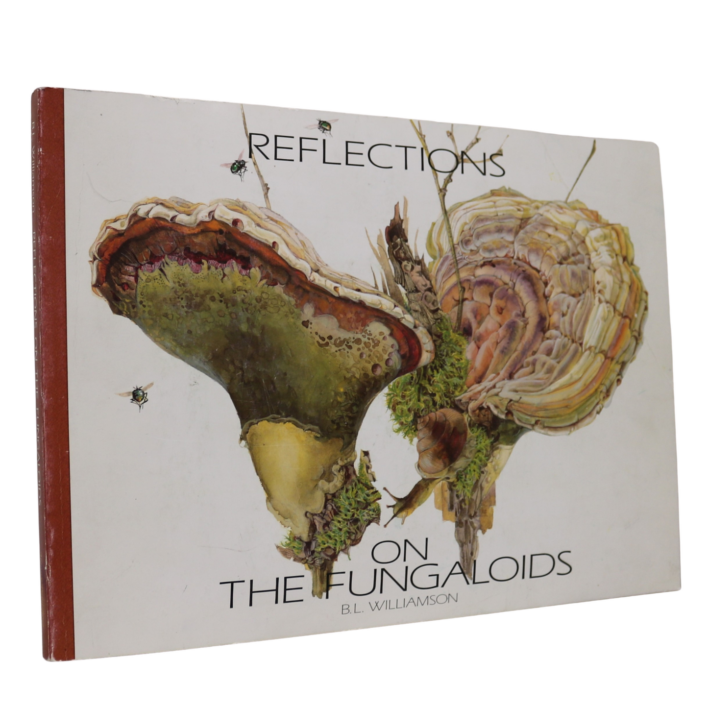 Reflections Fungaloids Mushroom Art Artist Canada Illustration Canadian Book