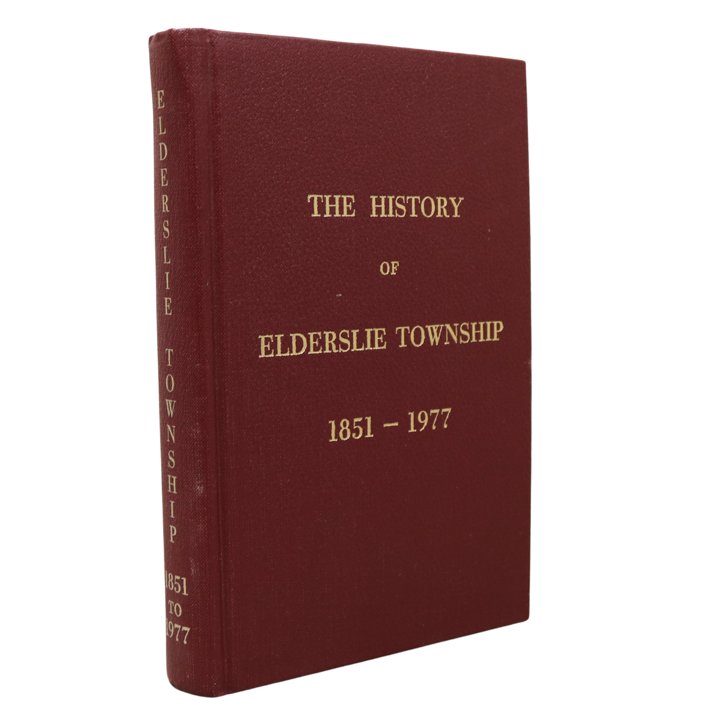 Elderslie Township Chesley Allenford Ontario Canada Canadian Local History Book