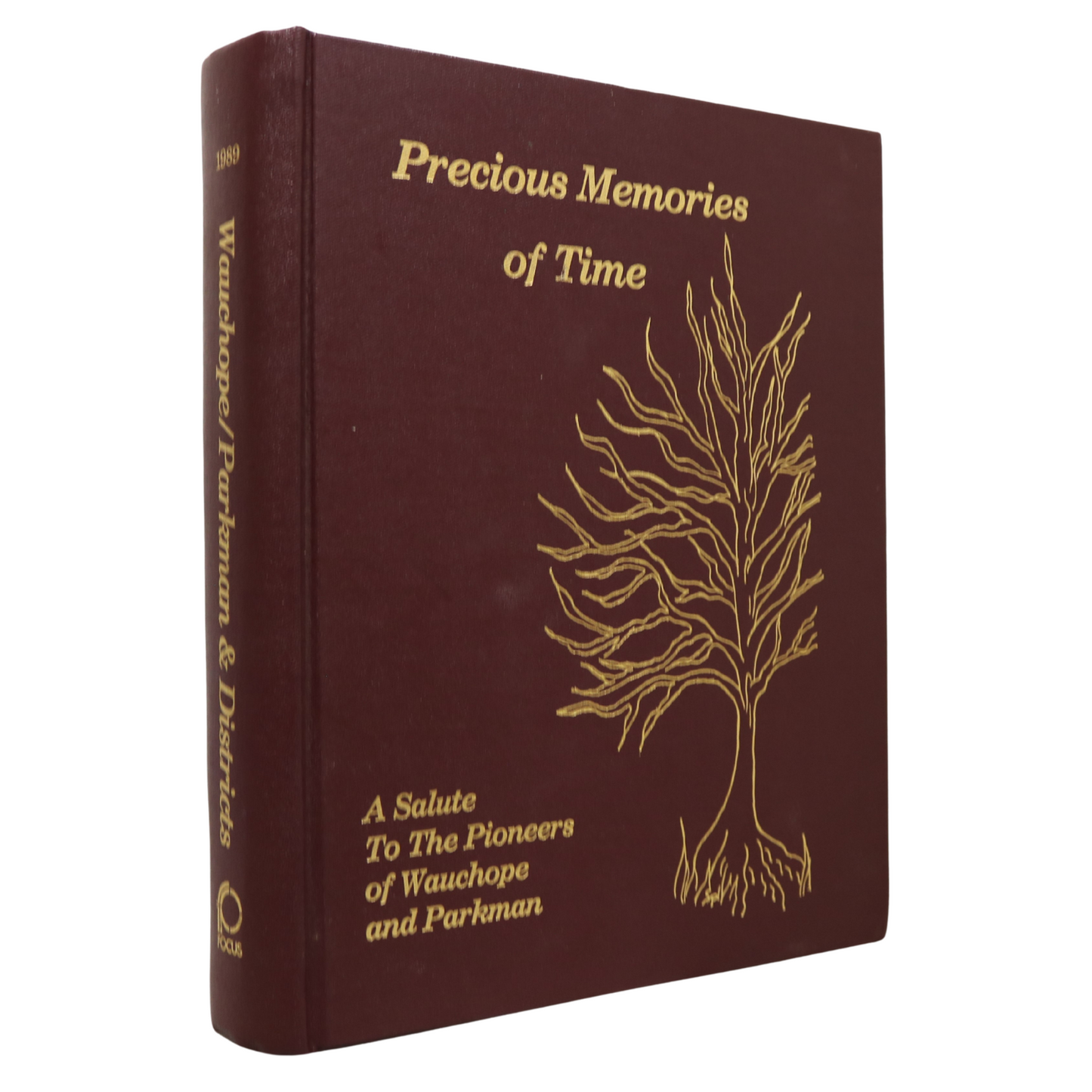 Precious Memories Time Wauchope Parkman Saskatchewan Canada Local History Book