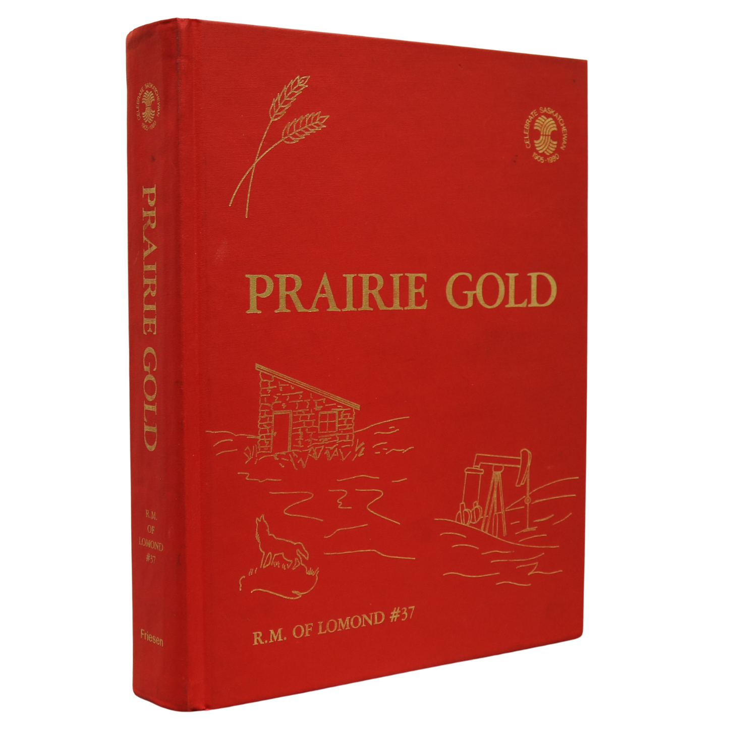 Prairie Gold Goodwater Lomond Saskatchewan Canada Canadian Local History Book