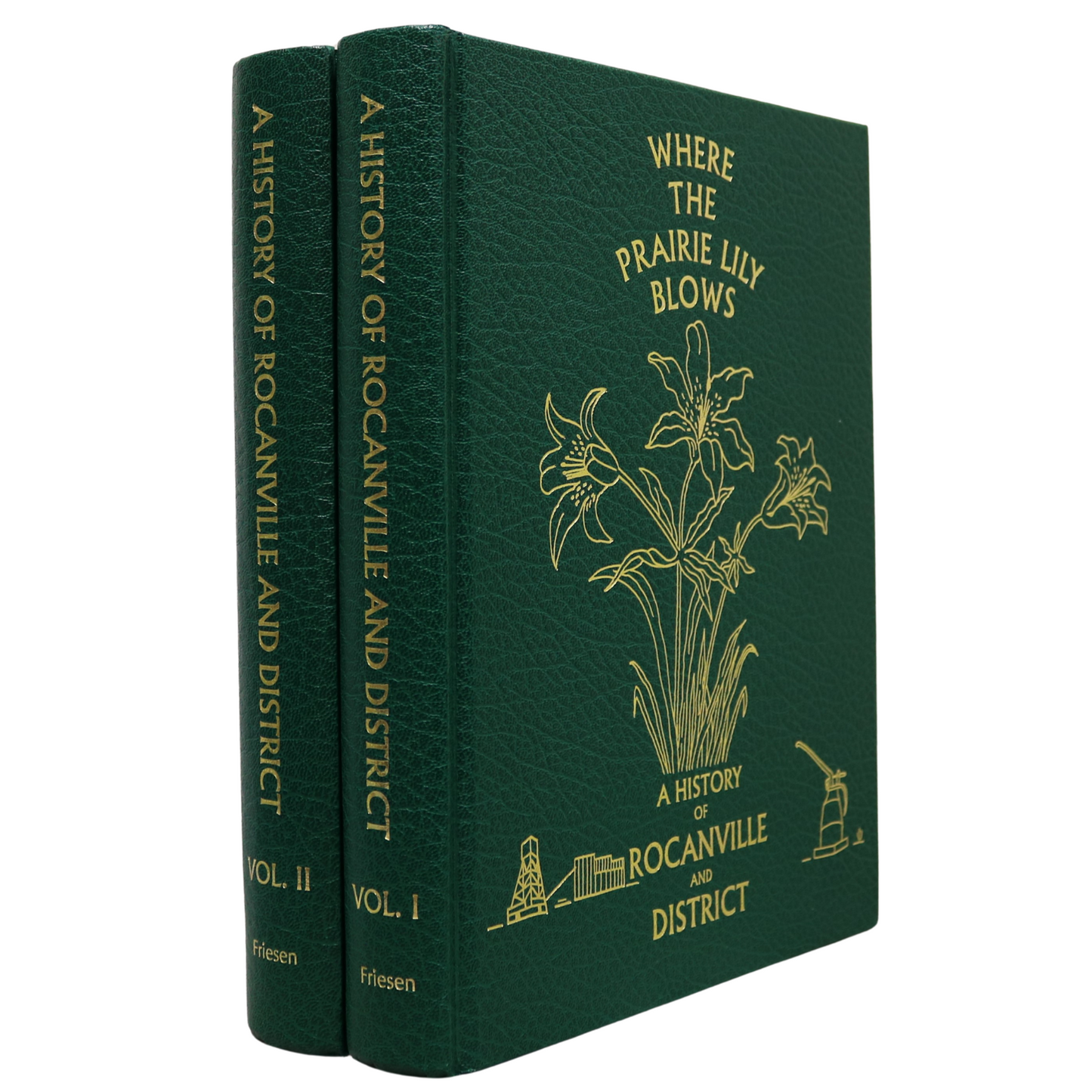 Where Prairie Lily Blows 2 Vol Rocanville Saskatchewan Canadian Local History Book