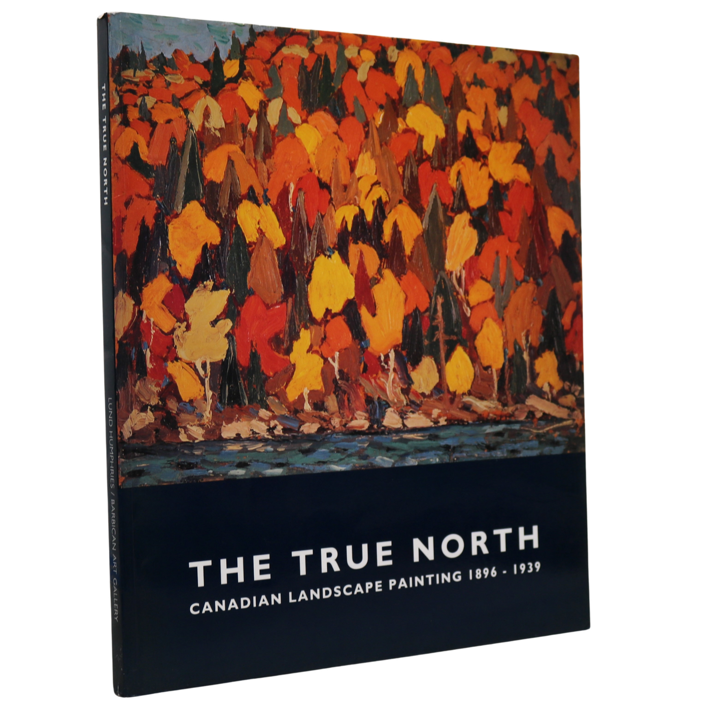 True North Canada Canadian Group 7 Seven Painting Painters Artists Art Used Book