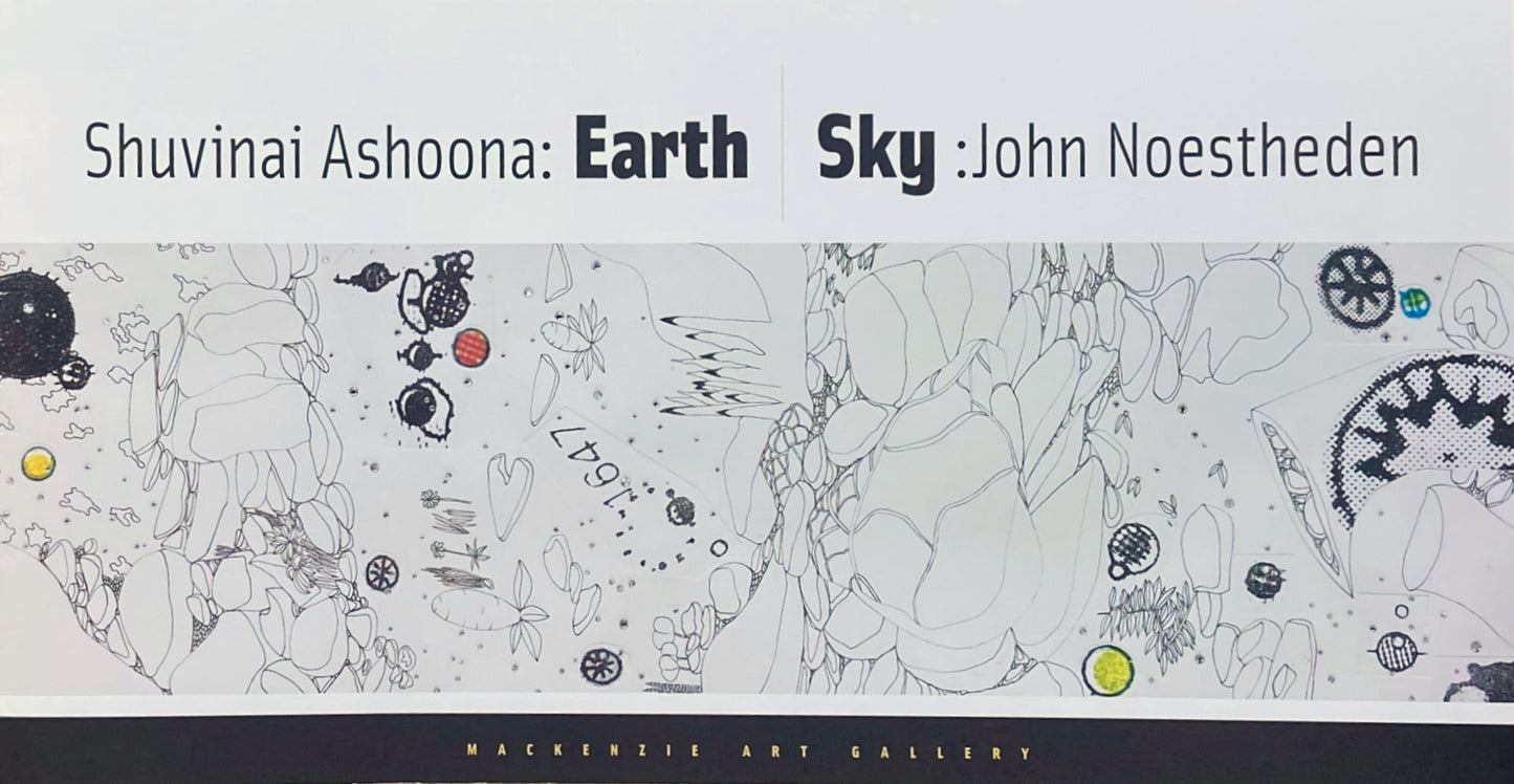 Shuvinai Ashoona John Noestheden Art Artist Canada Canadian Book