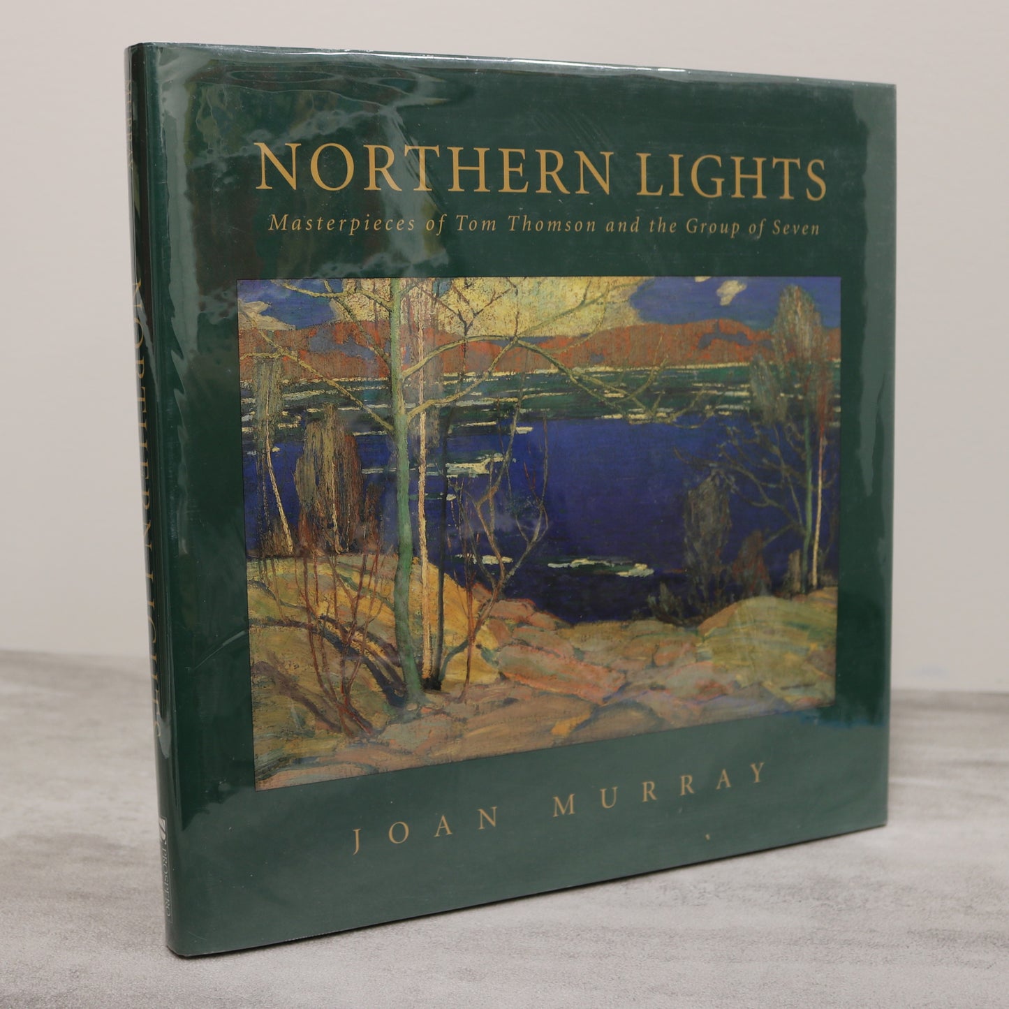 Northern Lights Tom Thomson Group of Seven Canadian Painting Artists Art Used Book