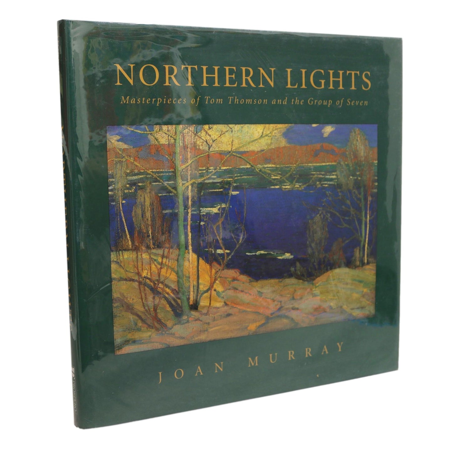 Northern Lights Tom Thomson Group of Seven Canadian Painting Artists Art Used Book