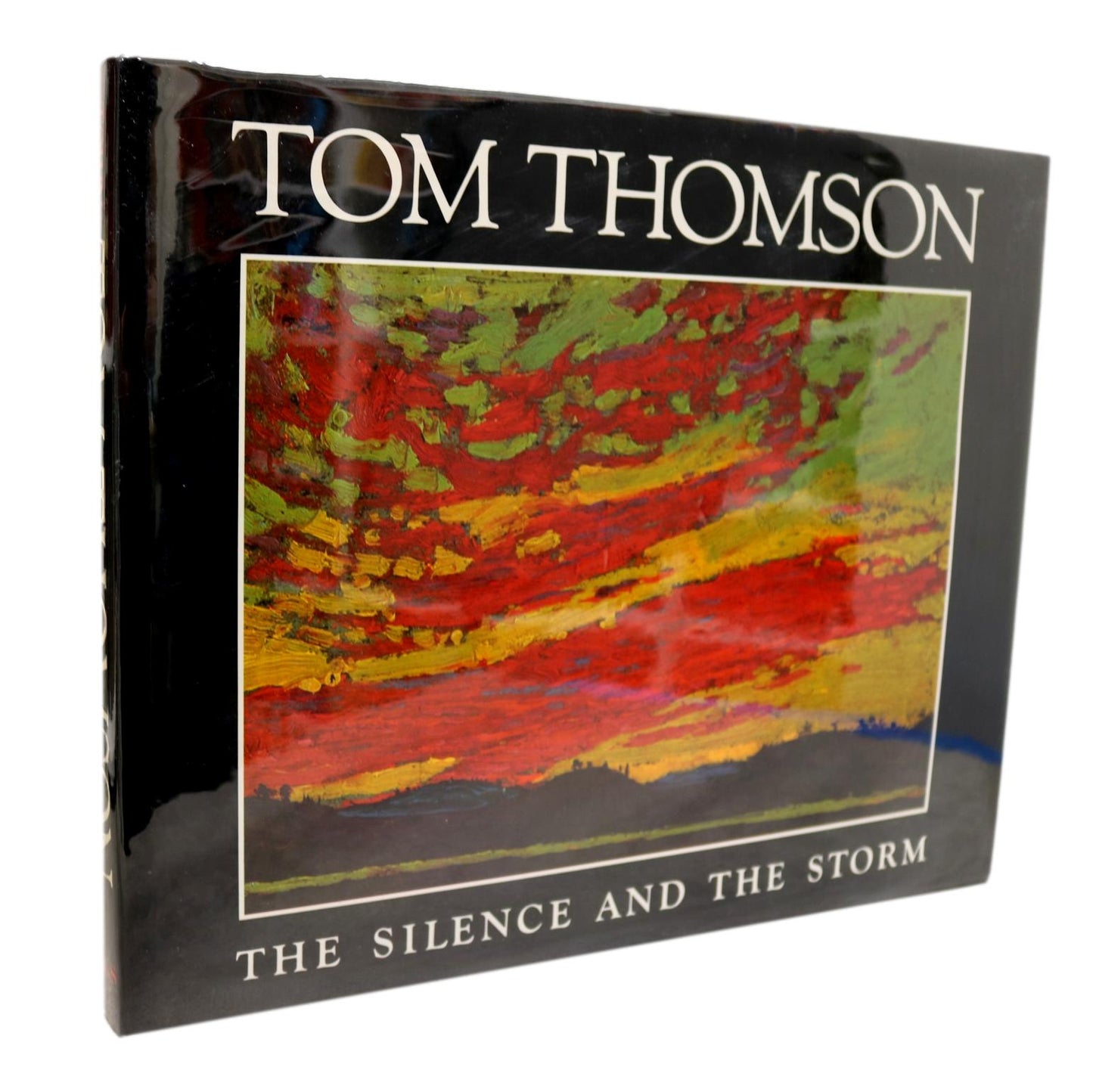 Silence and Storm Tom Thomson Canadian Artist Painter Paintings Art Used Book