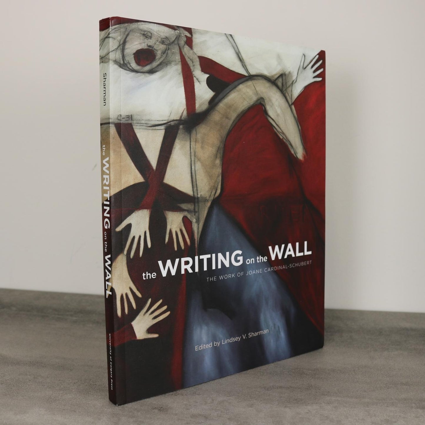 Writing on the Wall Joane Cardinal-Schubert Canadian Indigenous Artist Art Used Book