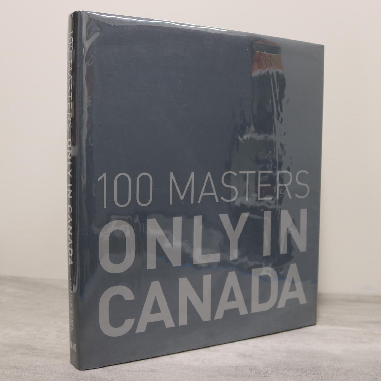 100 Masters Only in Canada Canadian Artists Painters Paintings Art Used Book