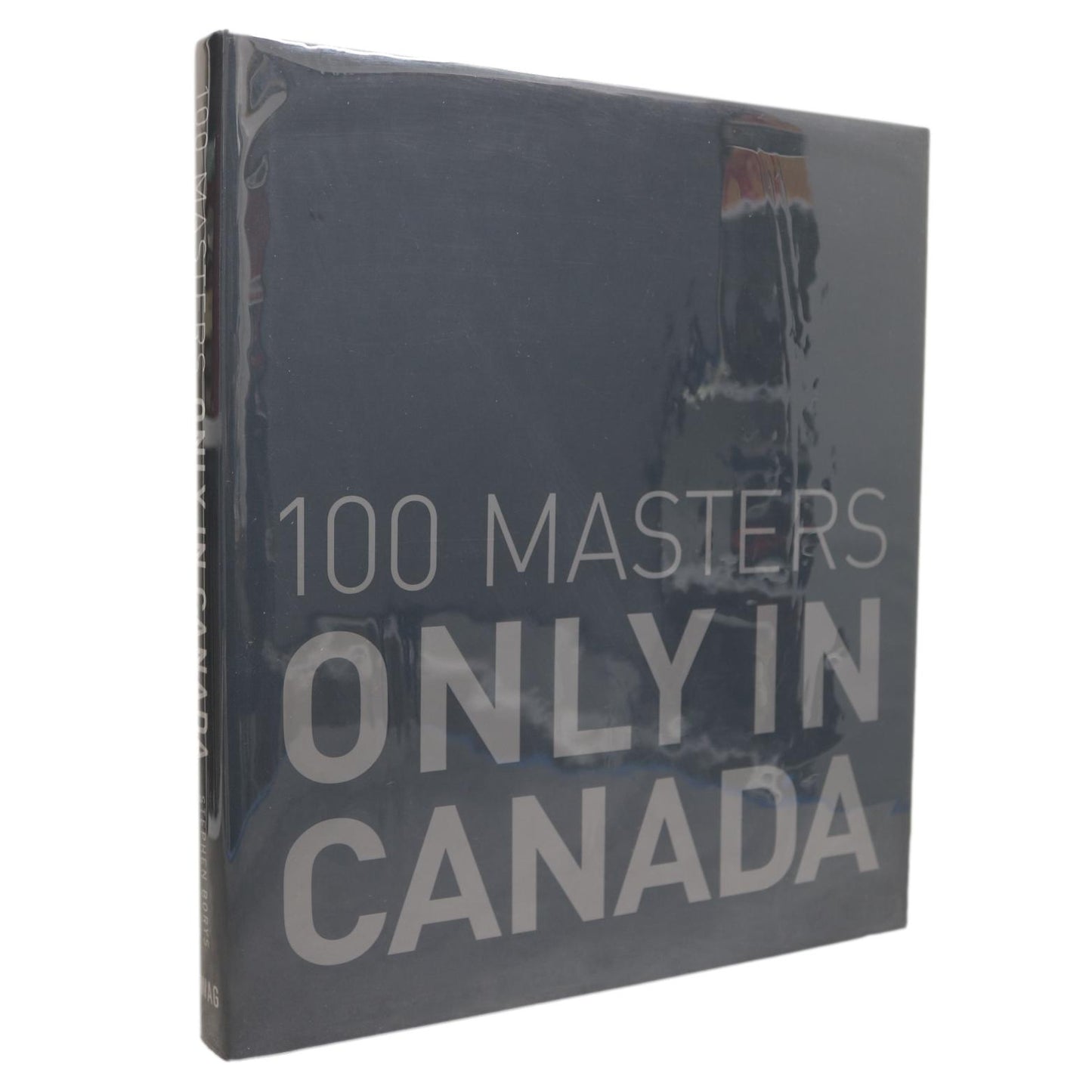 100 Masters Only in Canada Canadian Artists Painters Paintings Art Used Book