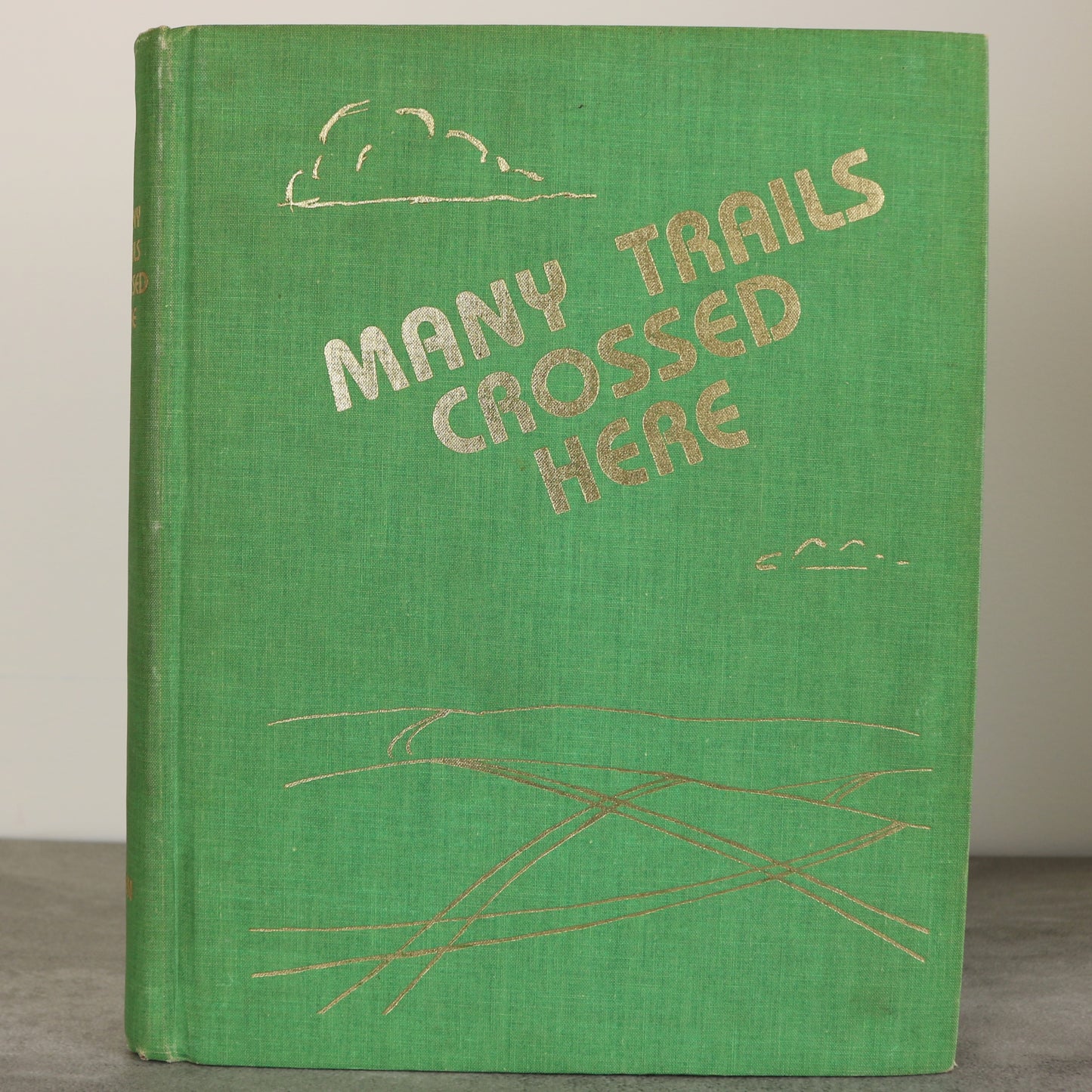 Many Trails Crossed Here Oyen Alberta  Canada Canadian Local History Used Book