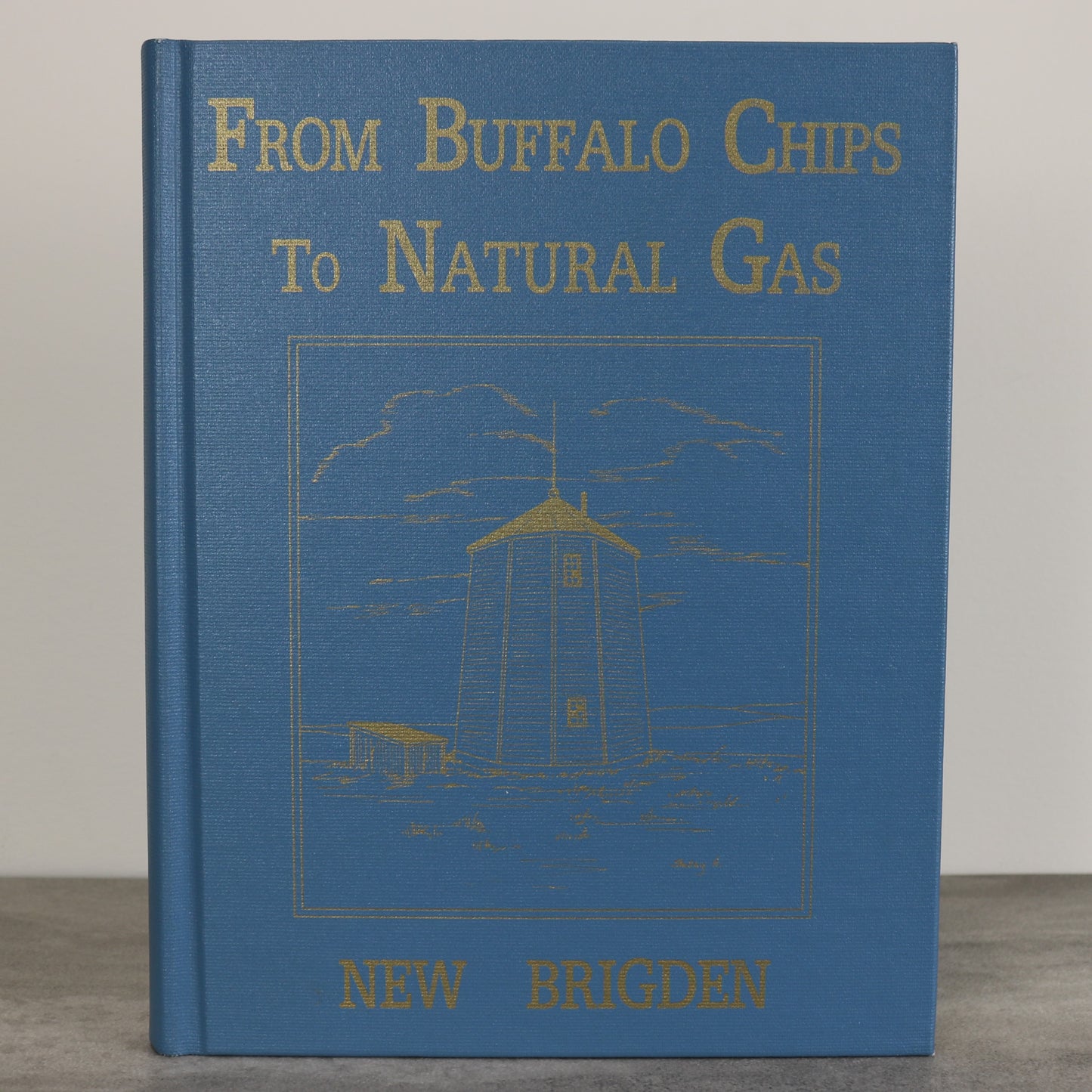 Buffalo Chips Natural Gas New Brigden Alberta Canada Canadian Local History Used Book