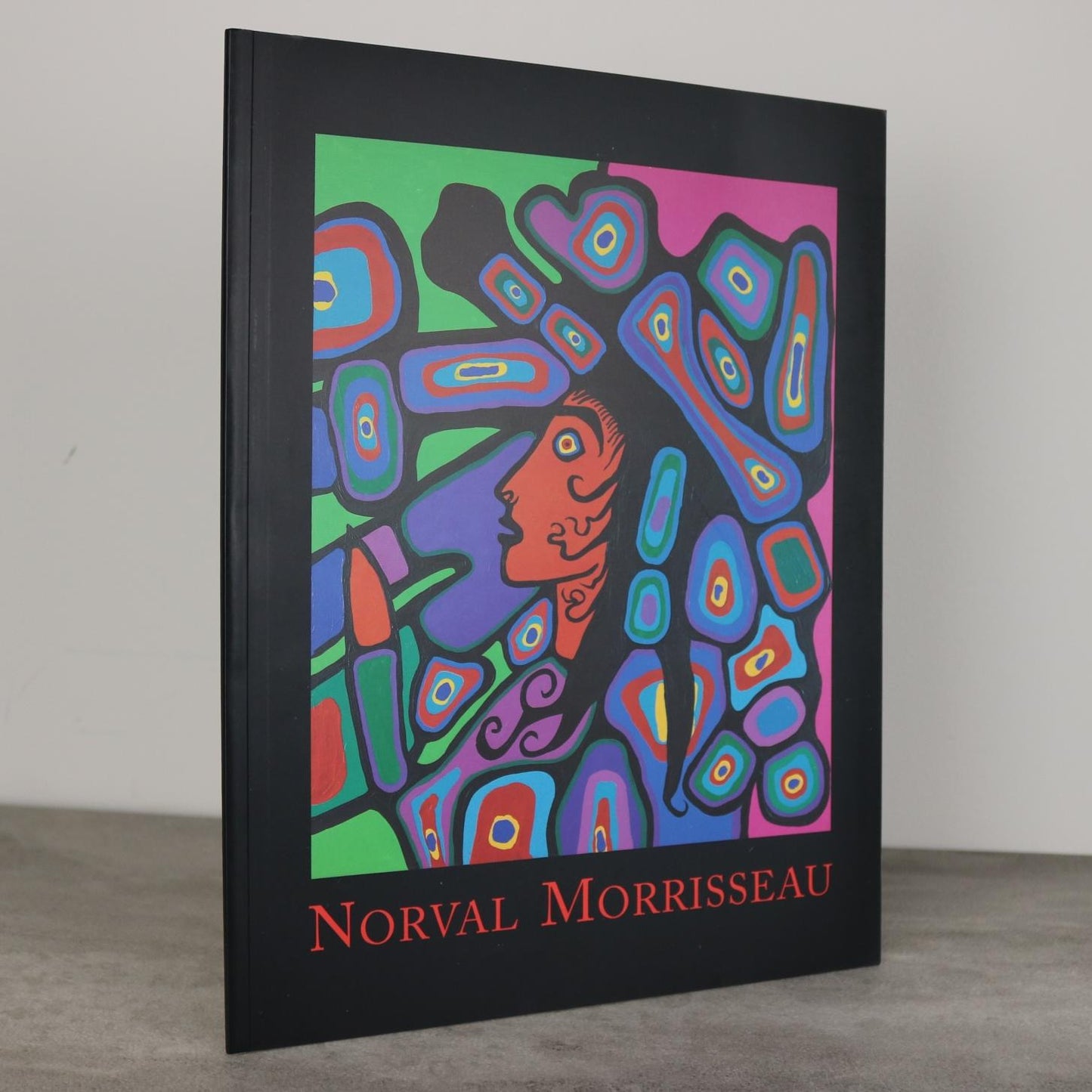 Norval Morrisseau Ojibwa First Nations Artist Canada Canadian Painter Art Used Book