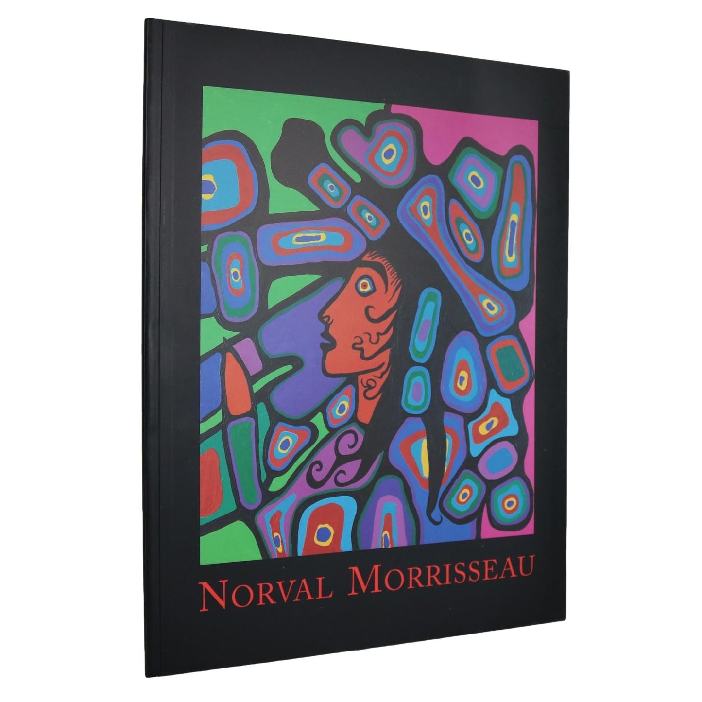 Norval Morrisseau Ojibwa First Nations Artist Canada Canadian Painter Art Used Book