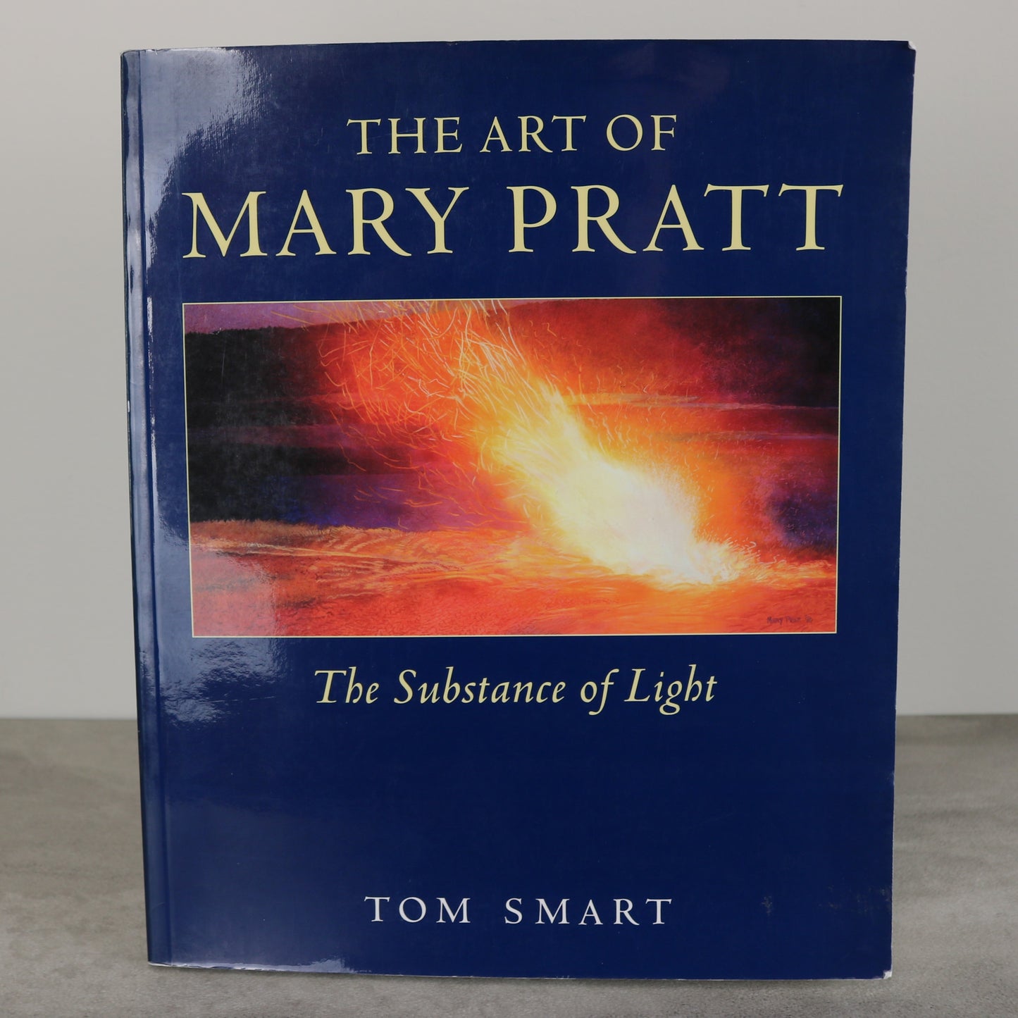 Mary Pratt Substance of Light Canada Canadian Artist Painter Paintings Art Used Book