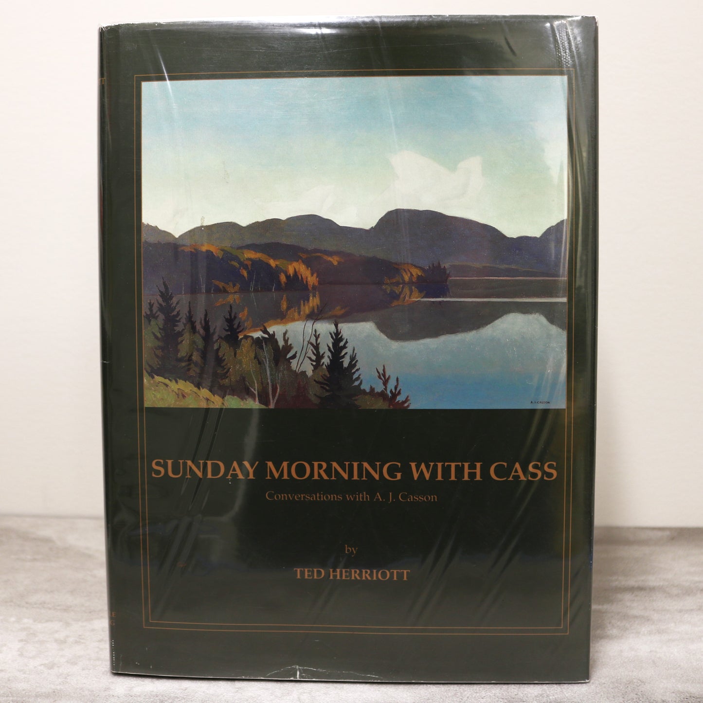 Sunday Morning With A.J. Casson Group of Seven Artist Painter Paintings Art Used Book