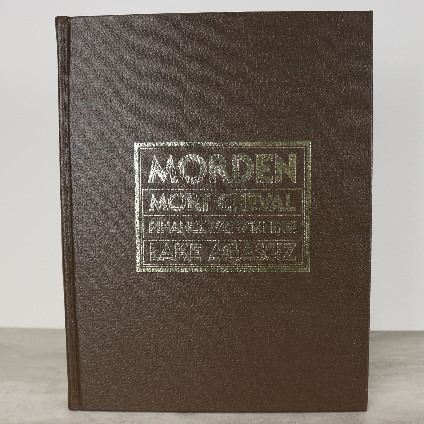 Morden Lake Agassiz Manitoba Canada Canadian Local Pictorial History Used Book