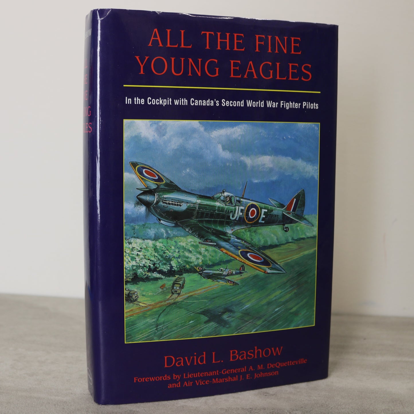 Fine Young Eagles Canada Canadian WW2 Fighter Pilots Air Force Military History Book