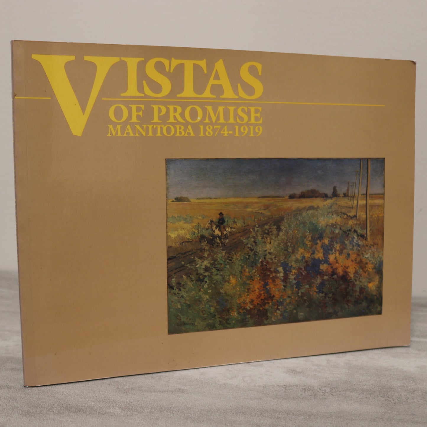 Vistas of Promise Manitoba Canada Canadian Paintings Painters Artists Art Used Book