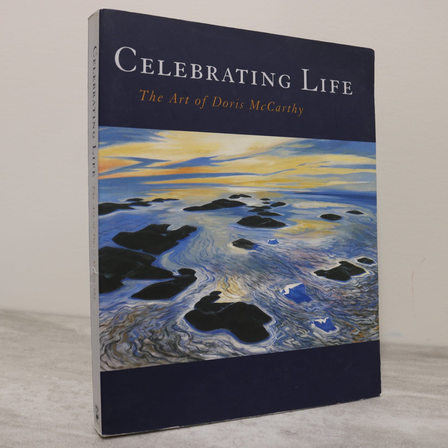 Celebrating Life Doris McCarthy Canada Canadian Artist Painter Paintings Art Used Book