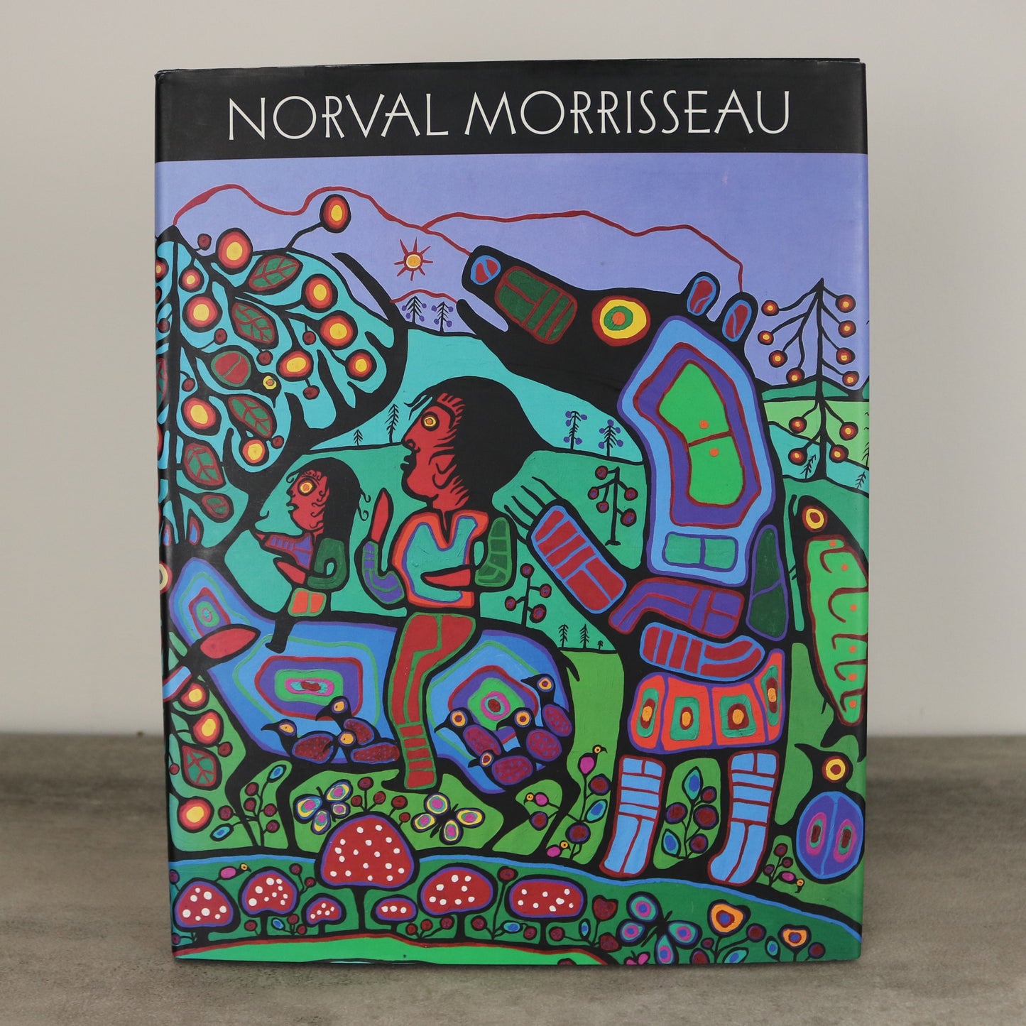 Norval Morrisseau Travels House Invention Ojibwa First Nations Artist Painter Art Book