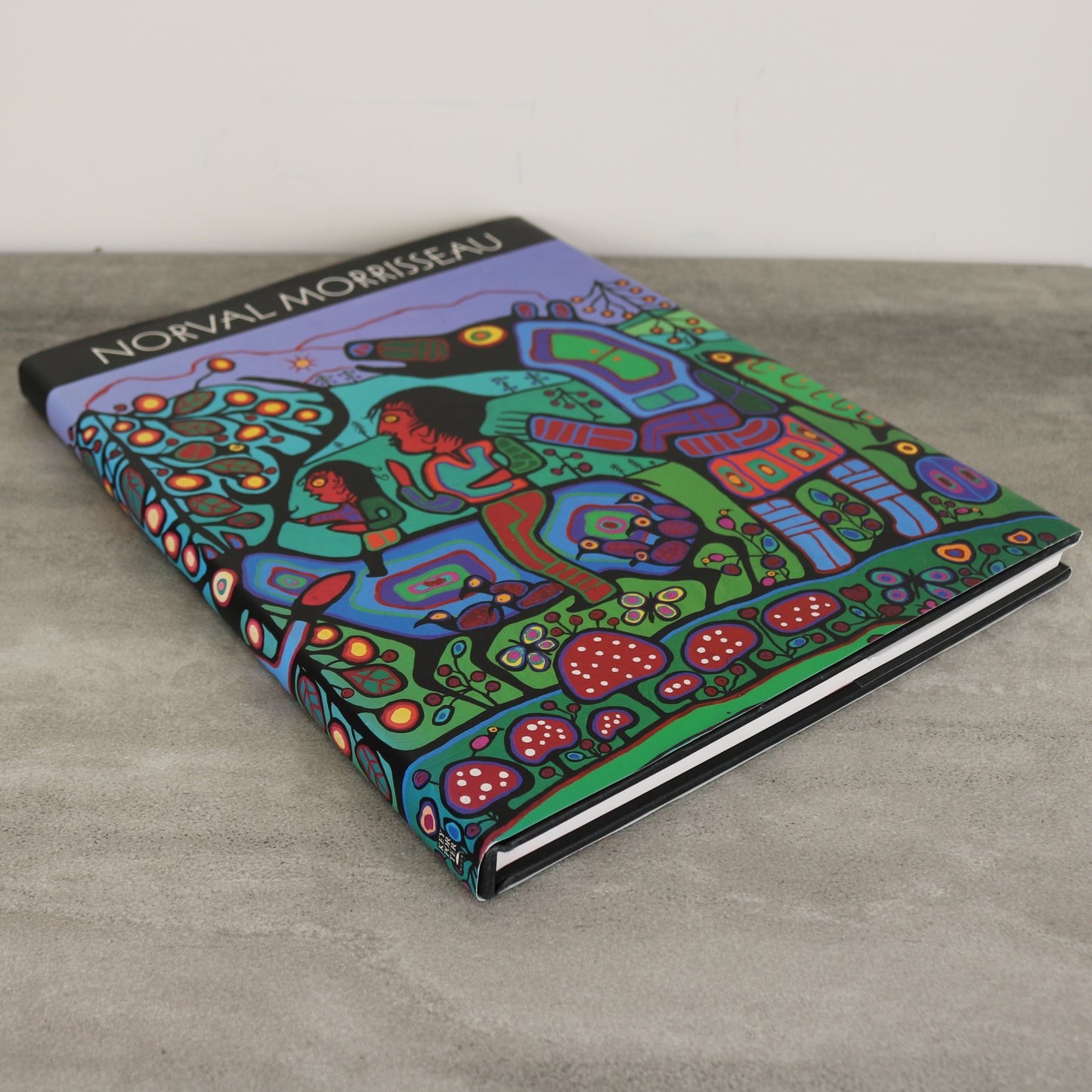 Norval Morrisseau Travels House Invention Ojibwa First Nations Artist Painter Art Book