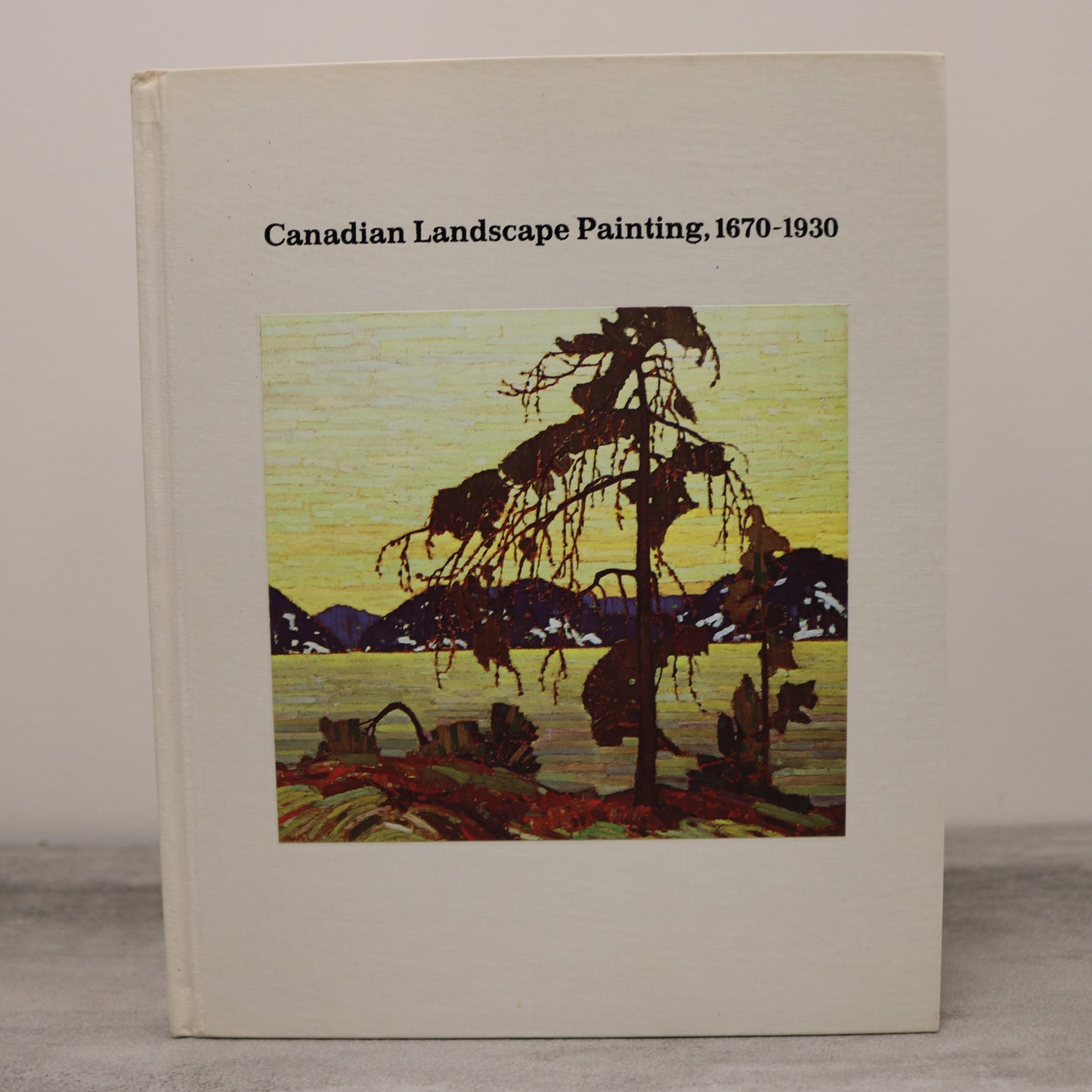 Canadian Landscape Painting Canada Painters Artists Group of Seven Art Used Book