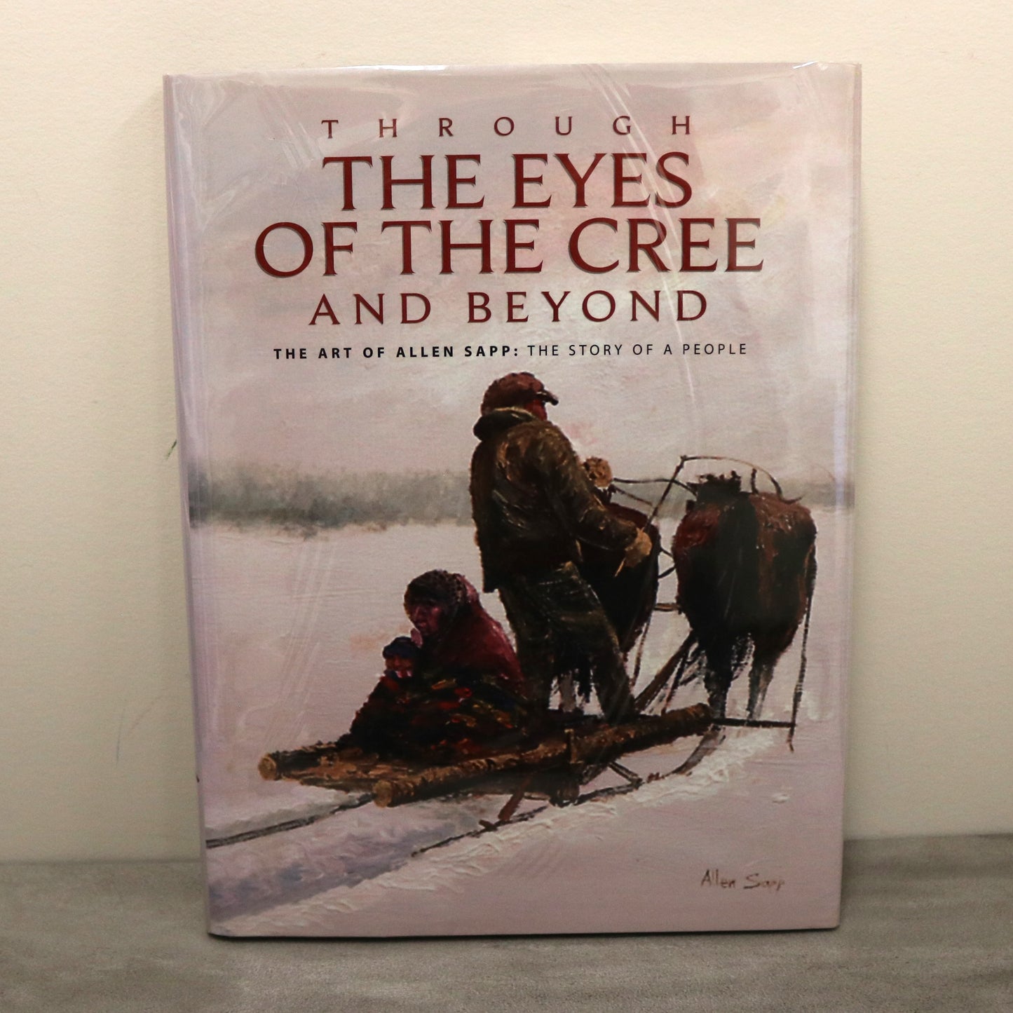 Eyes of Cree Allen Sapp Art Acrylic Painting First Nations Canada Canadian Used Book