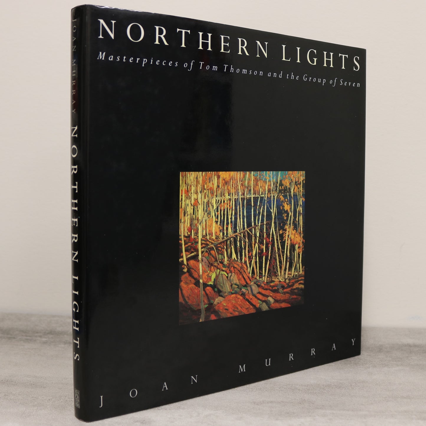 Northern Lights Tom Thomson Group of Seven Canada Canadian Painting Artists Art Book