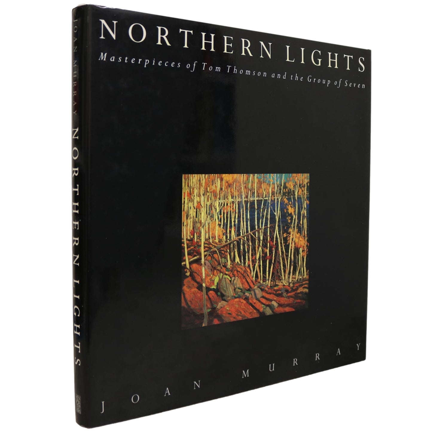 Northern Lights Tom Thomson Group of Seven Canada Canadian Painting Artists Art Book