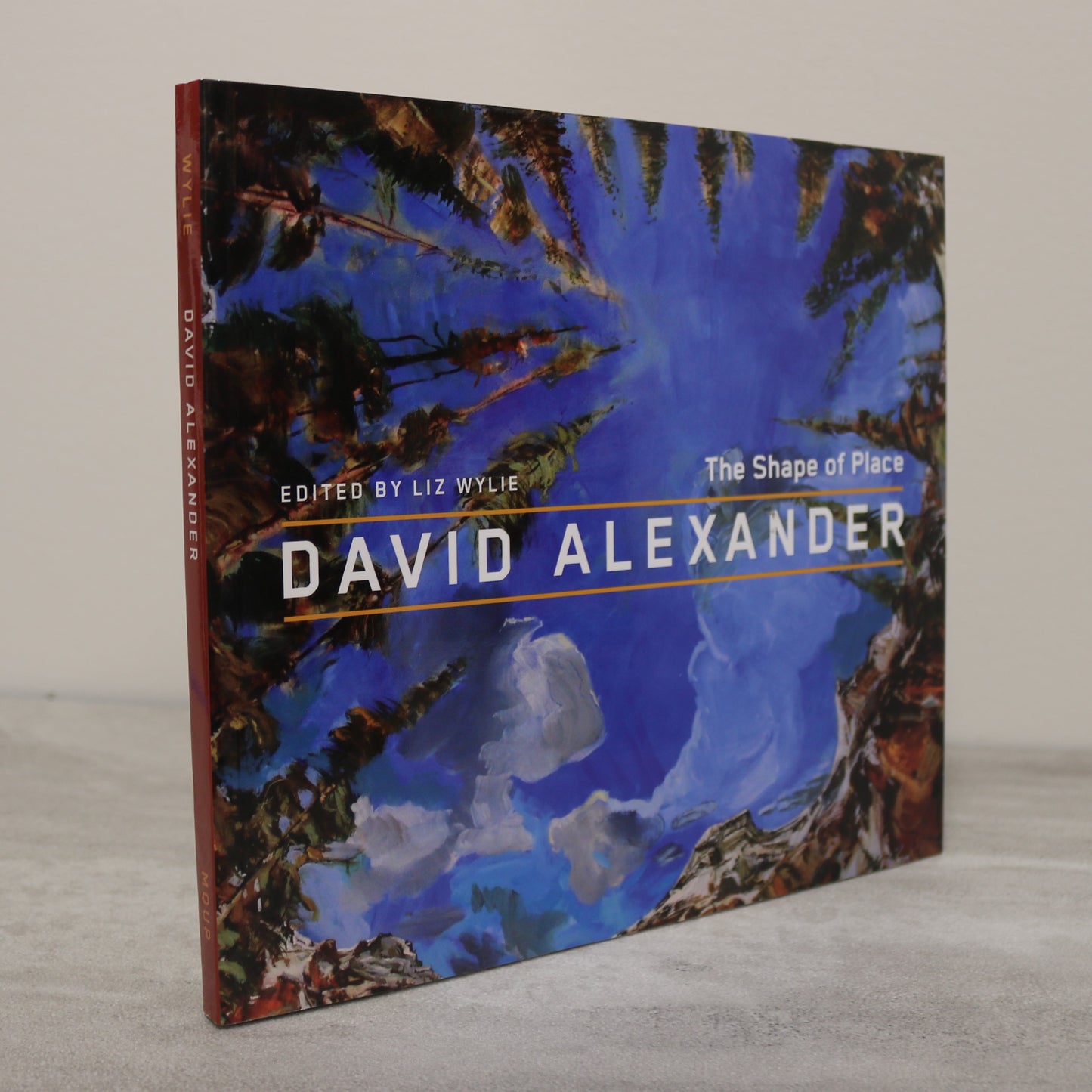 David Alexander Shape of Place Canada Canadian Artist Art Painter Paintings Used Book