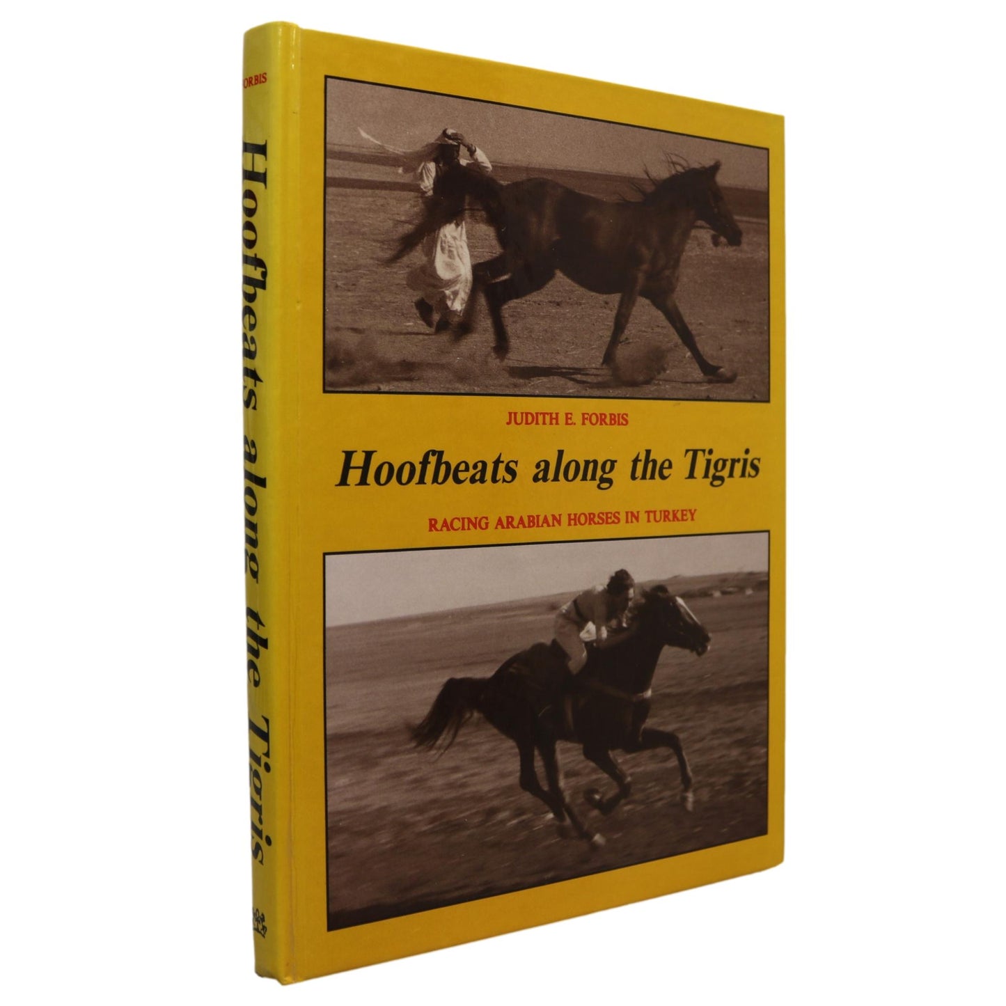 Hoofbeats Along Tigris Racing Arabian Horses Horse Turkey Memoir Used Book