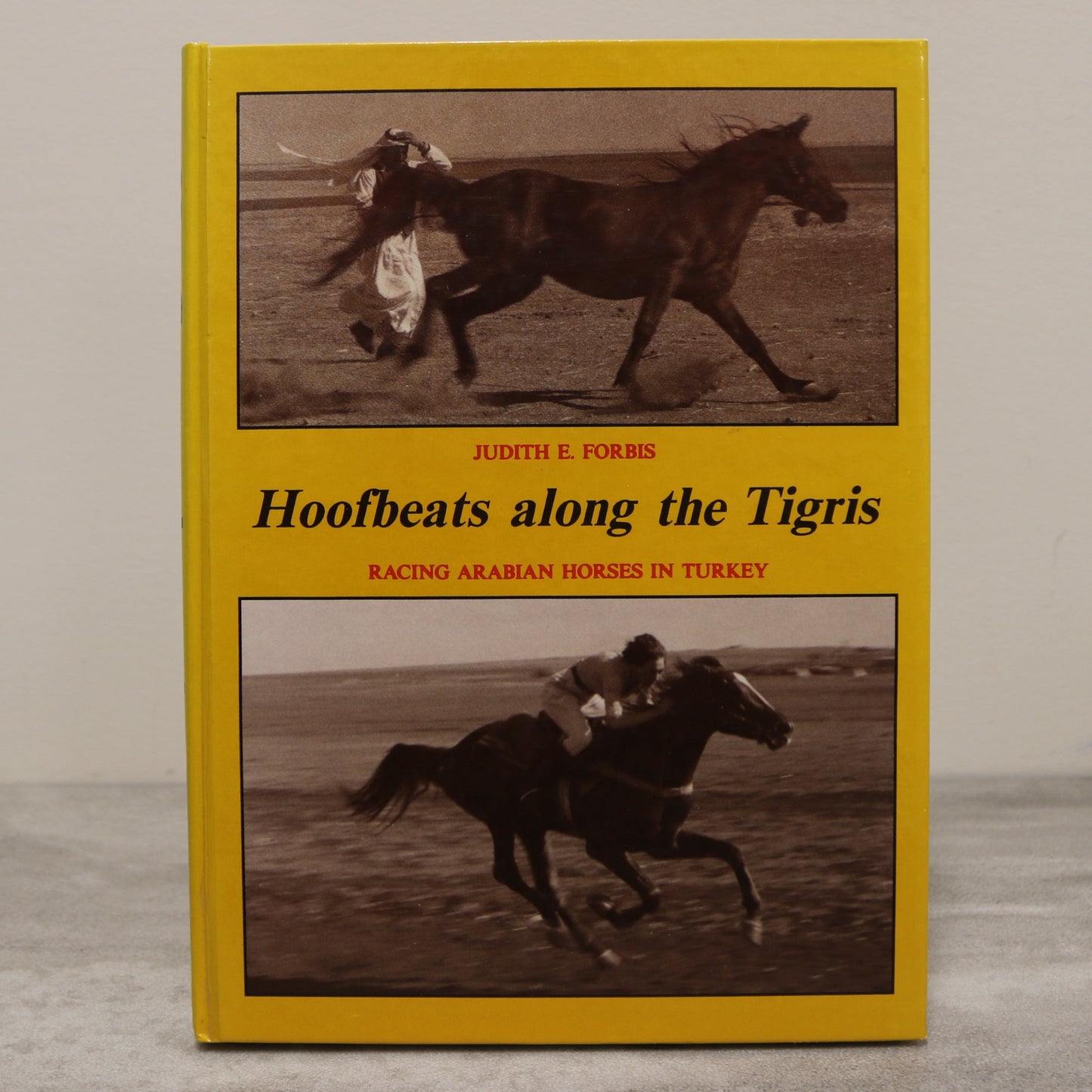 Hoofbeats Along Tigris Racing Arabian Horses Horse Turkey Memoir Used Book