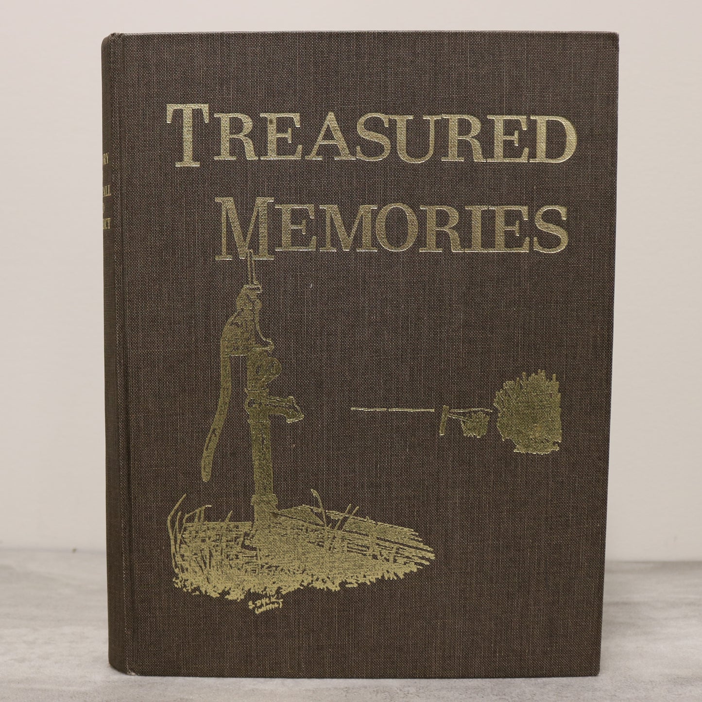 Treasured Memories Burstall Saskatchewan Canada Canadian Local History Used Book