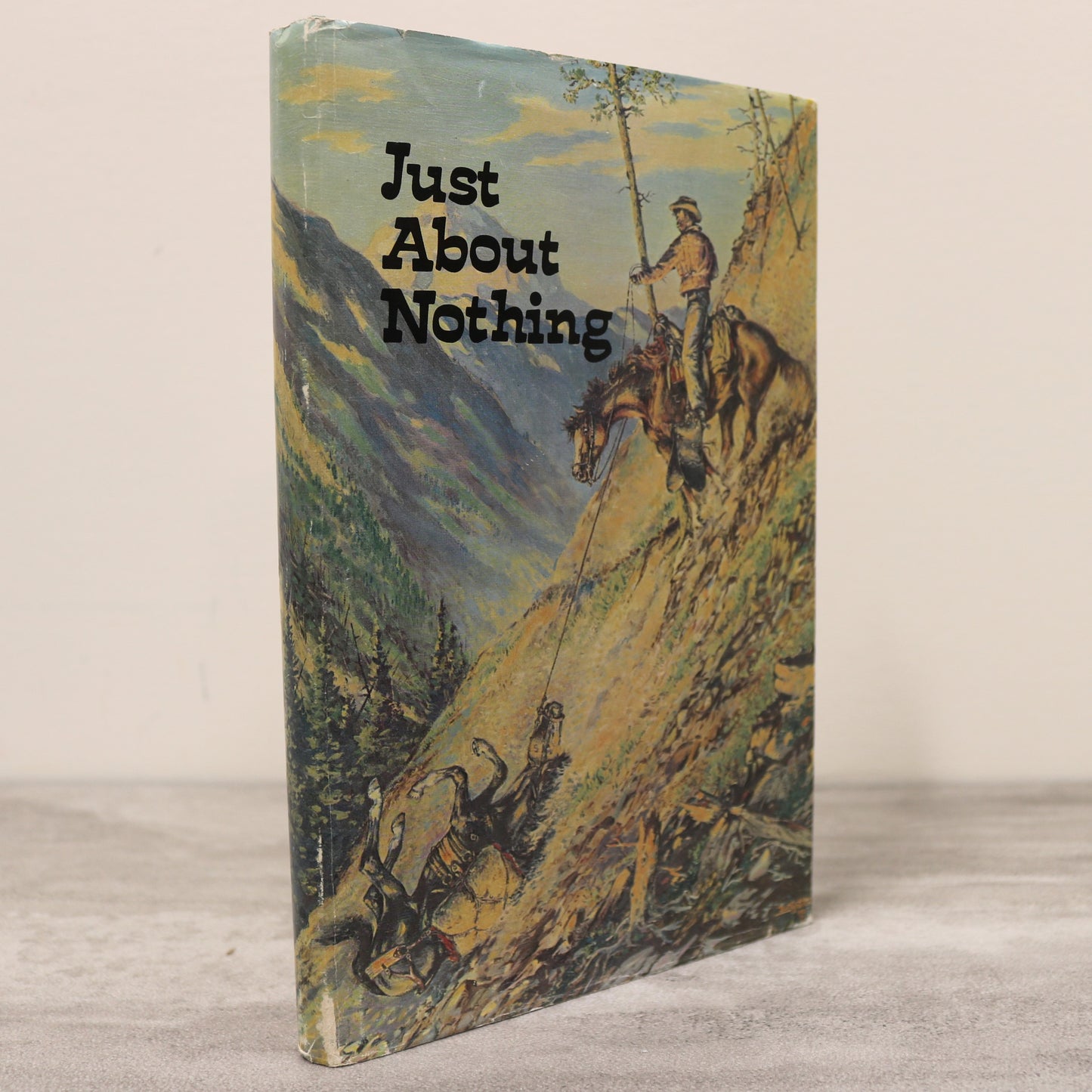 Just About Nothing High River Alberta Canada Canadian Local History Used Book