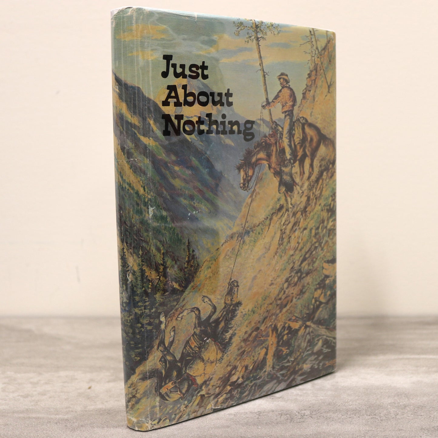 Just About Nothing High River Alberta Canada Canadian Local History Used Book