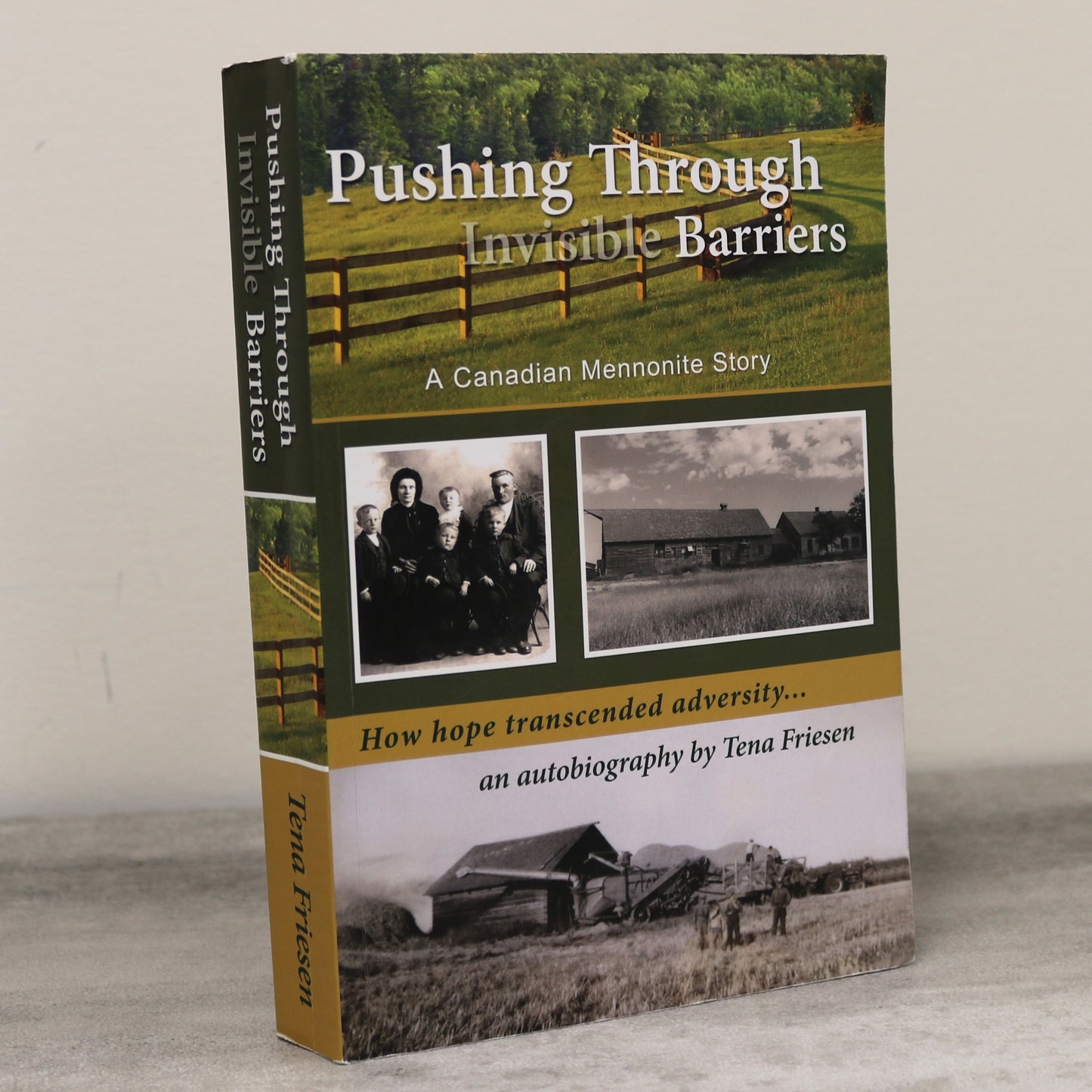 Pushing Invisible Barriers Canada Canadian Mennonite Autobiography Used Book