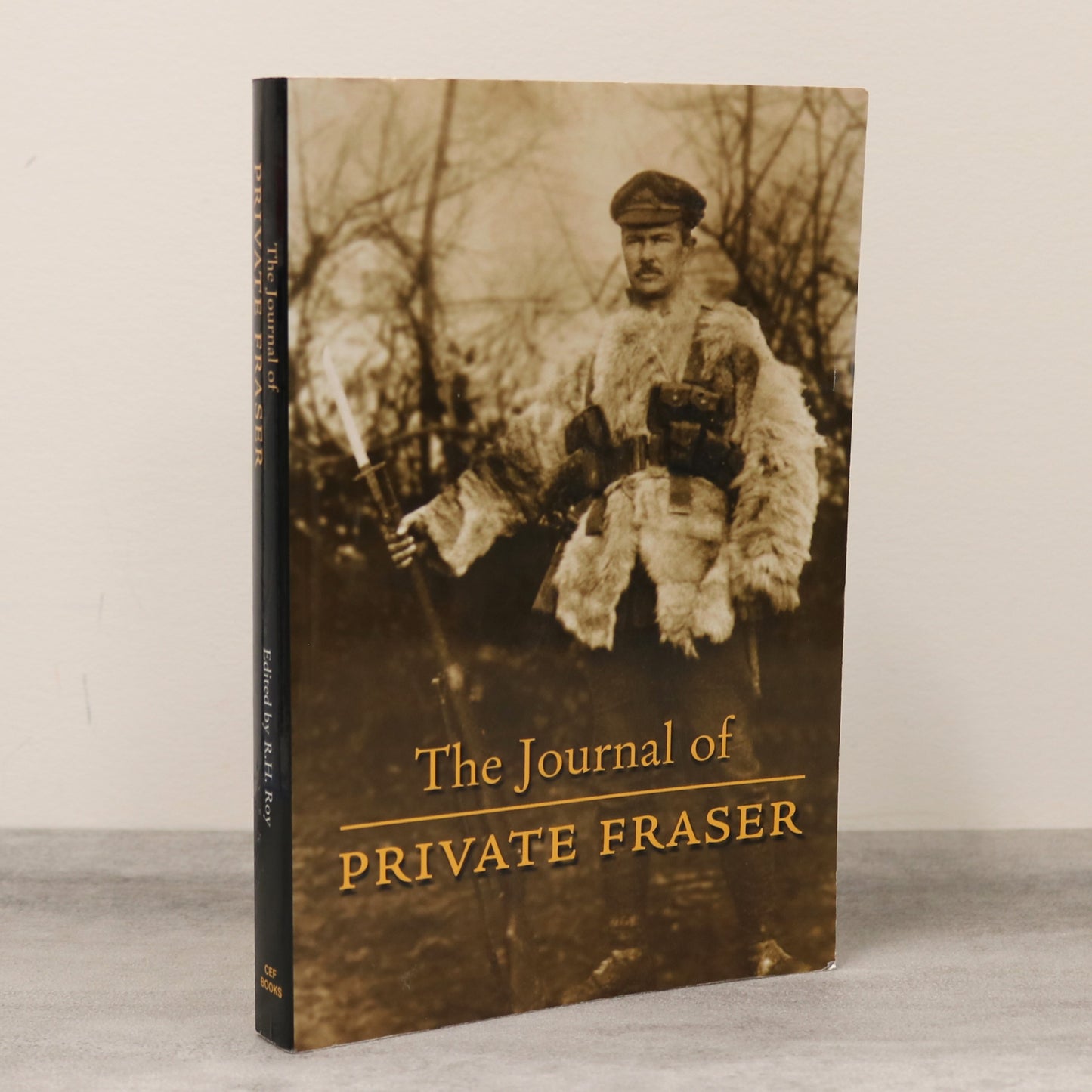 Private Donald Fraser Journal Diary WW1 World War One Military History Book