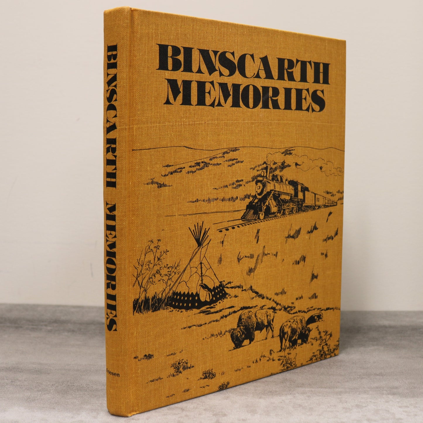 Binscarth Memories Manitoba Canada Canadian Local History Used Book