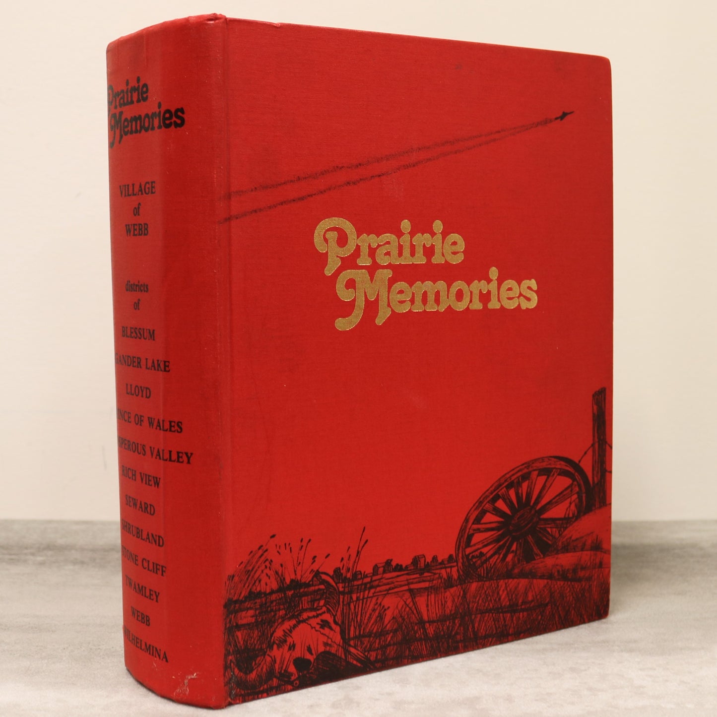 Prairie Memories Webb Saskatchewan Canada Canadian Local History Book