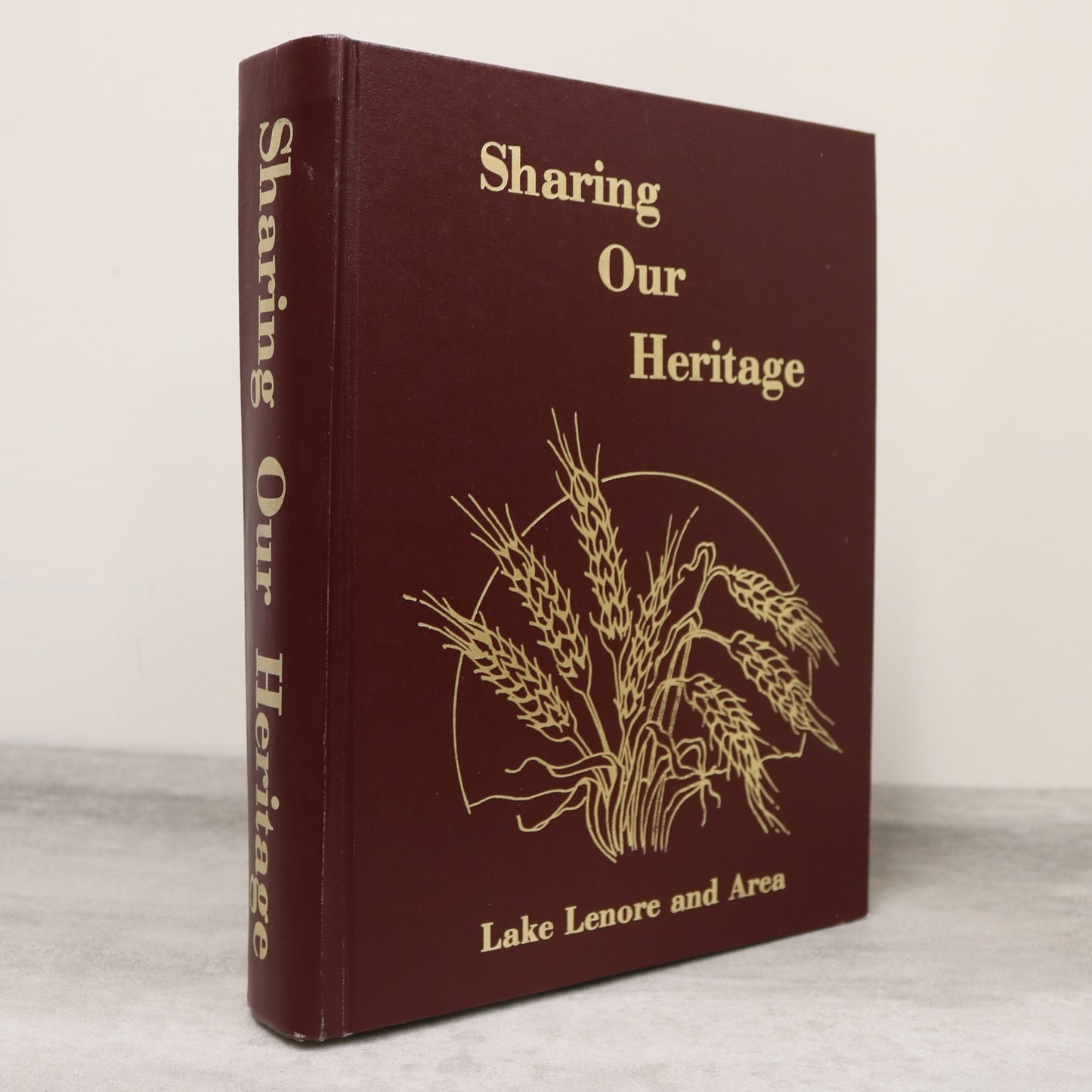 Sharing Our Heritage Lake Lenore Saskatchewan Canada Canadian Local History Book