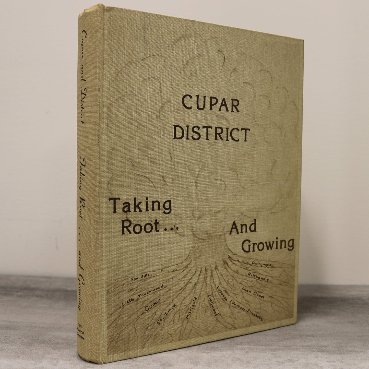 Cupar District Taking Root Growing Saskatchewan Canada Canadian Local History Book
