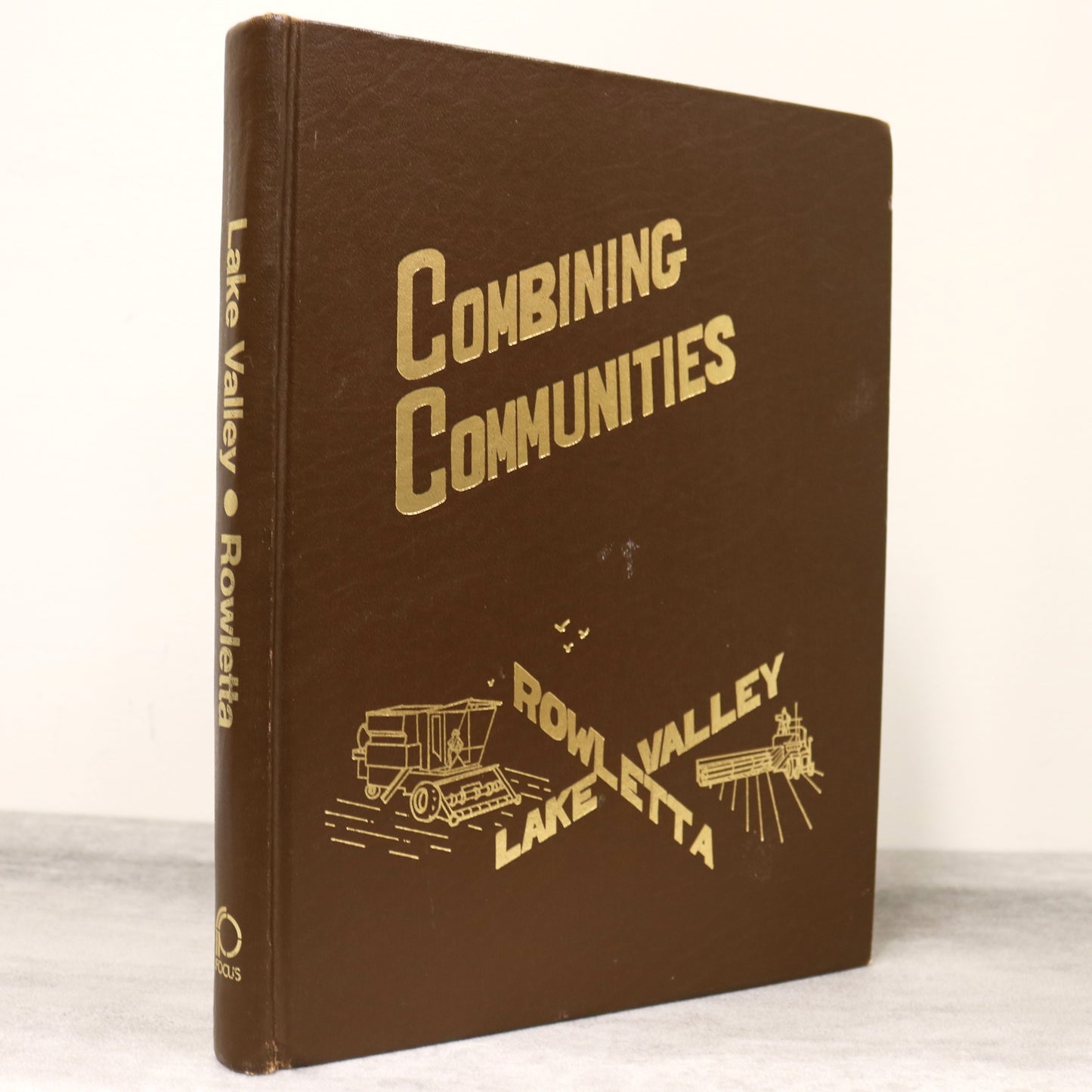 Combining Communities Rowletta Lake Valley Saskatchewan Canadian Local History Book