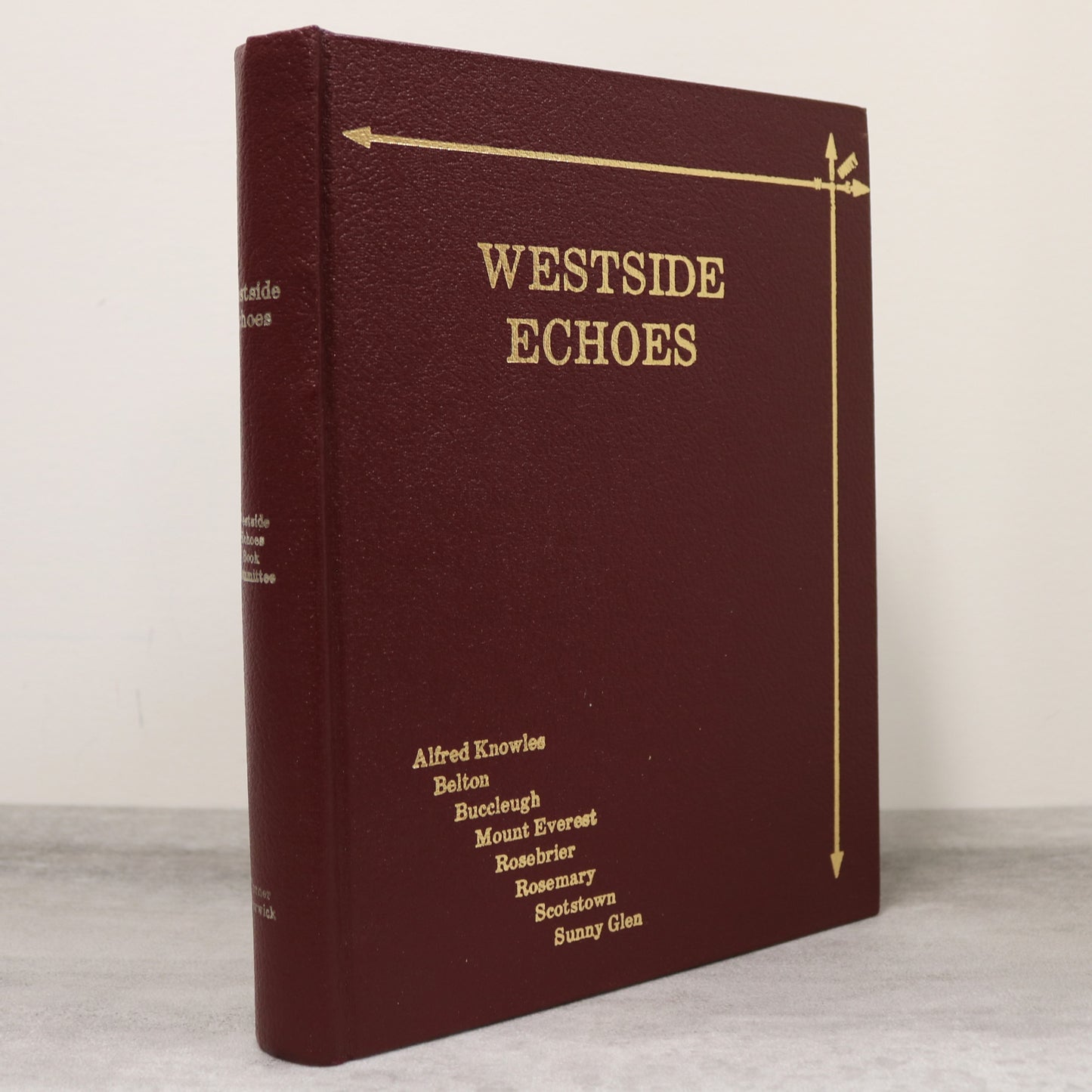 Westside Echoes Saskatchewan Canada Canadian Local History Used Book