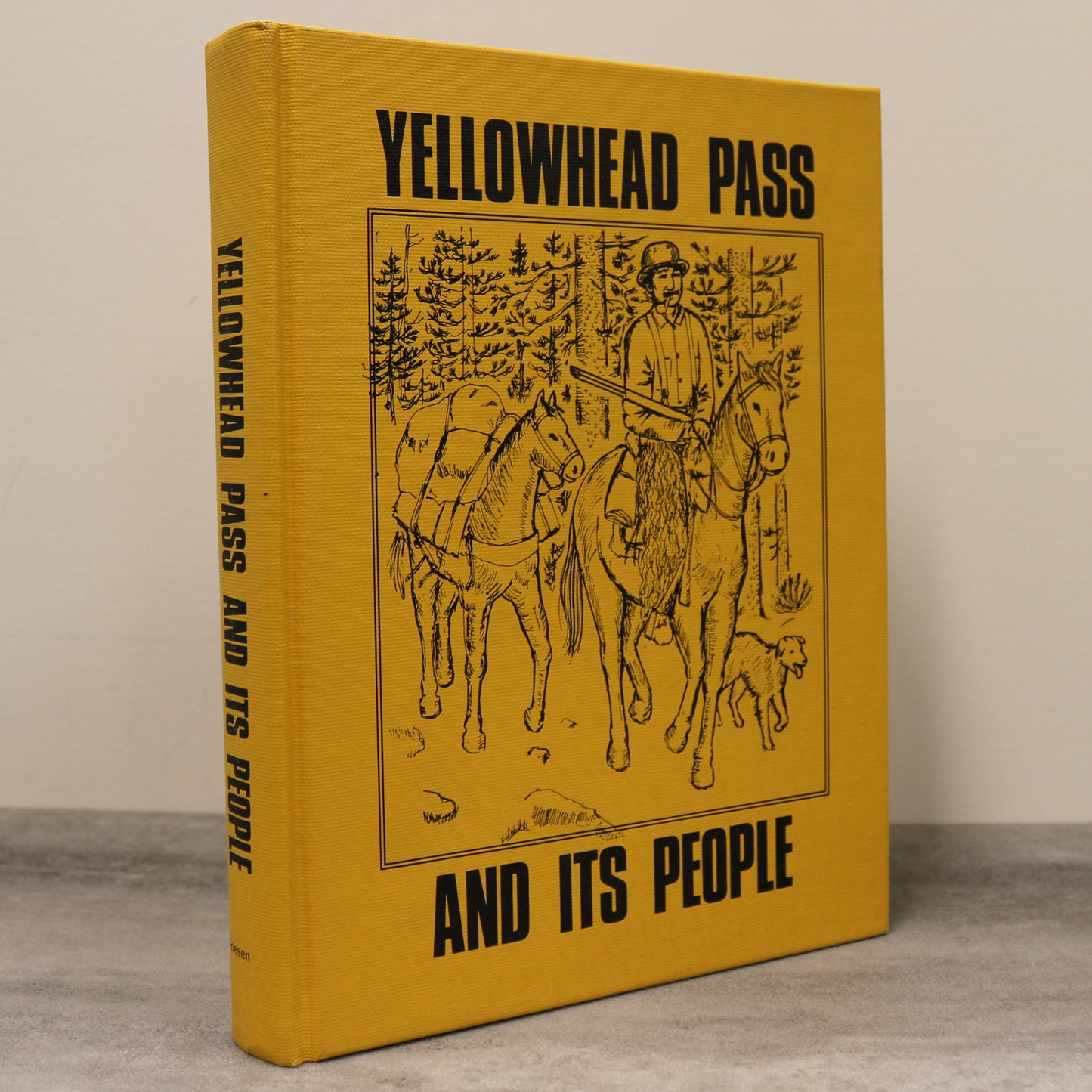 Yellowhead Pass Valemount BC British Columbia Canada Canadian Local History Book