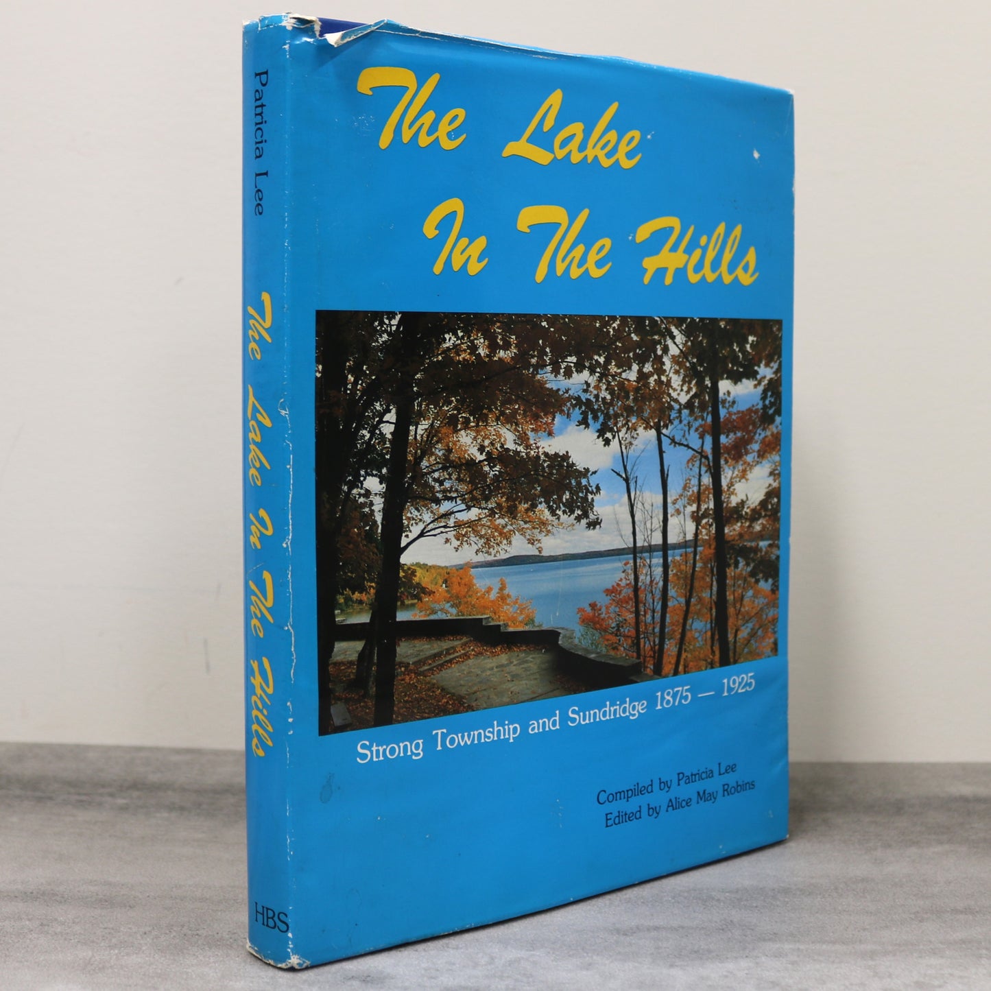 Lake in the Hills Strong Township Sundridge Ontario Canada Canadian History Book