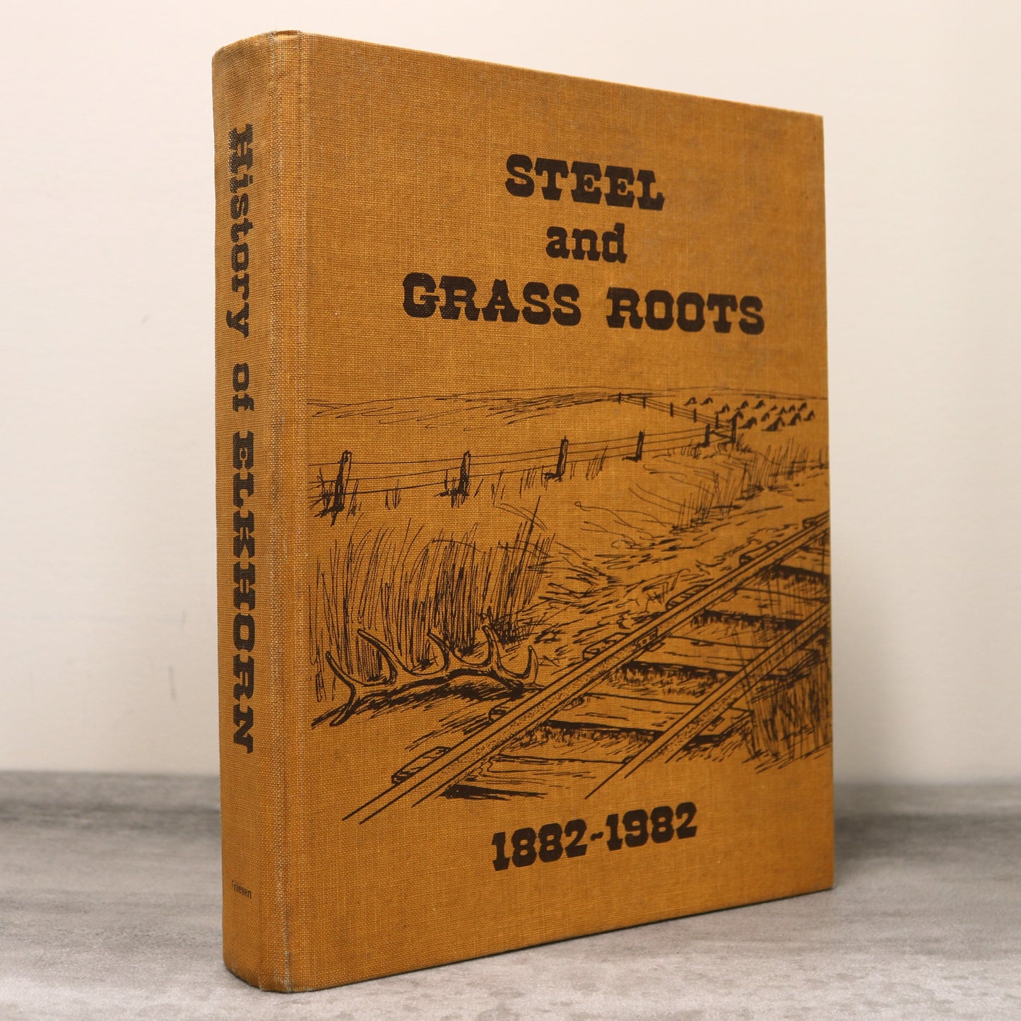 Steel and Grass Roots Elkhorn Manitoba Canada Canadian Local History Used Book