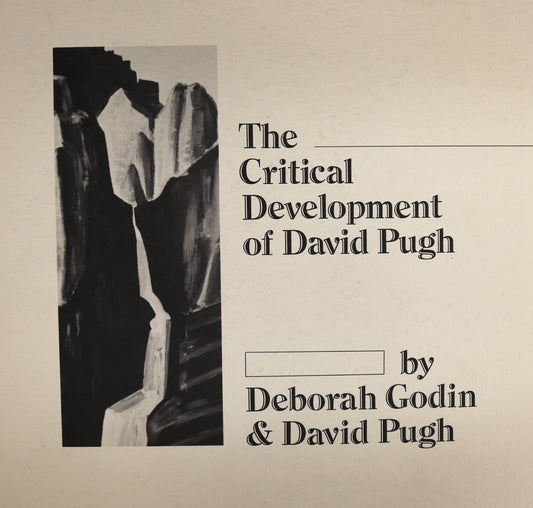 Critical Development David Pugh Canada Canadian Artist Painter Paintings Art Book