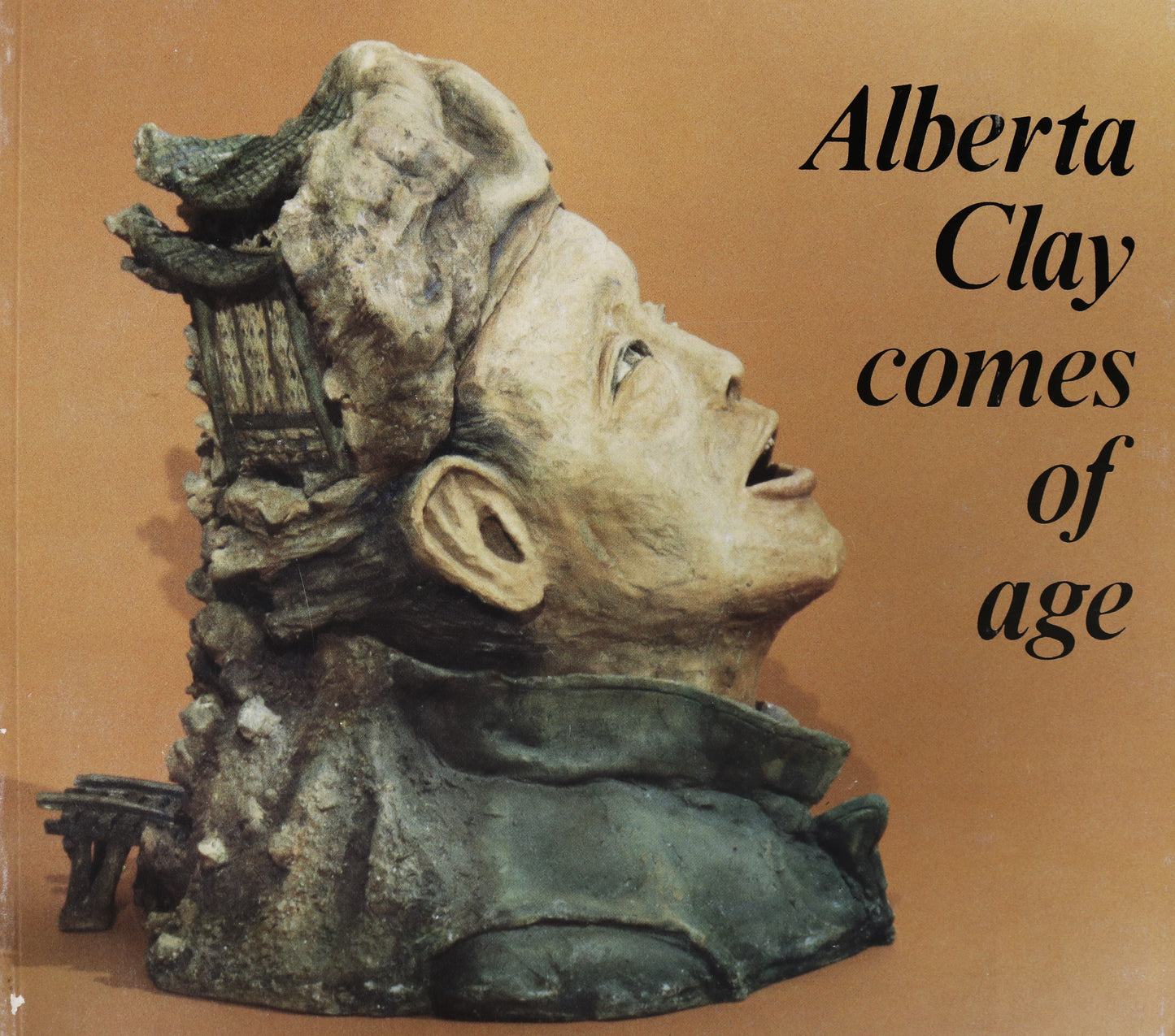 Alberta Clay Comes of Age Ceramics Sculptures Canada Canadian Artists Art Used Book